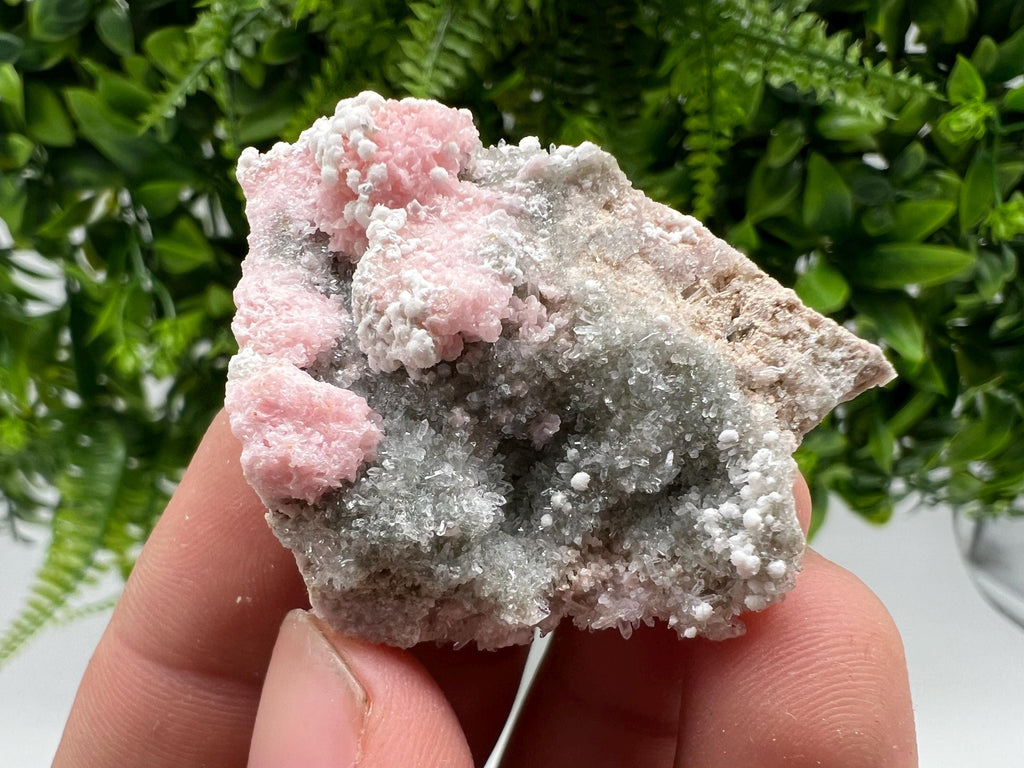 RARE Rhodochrosite with Calcite: Starnica Mine, Bulgaria