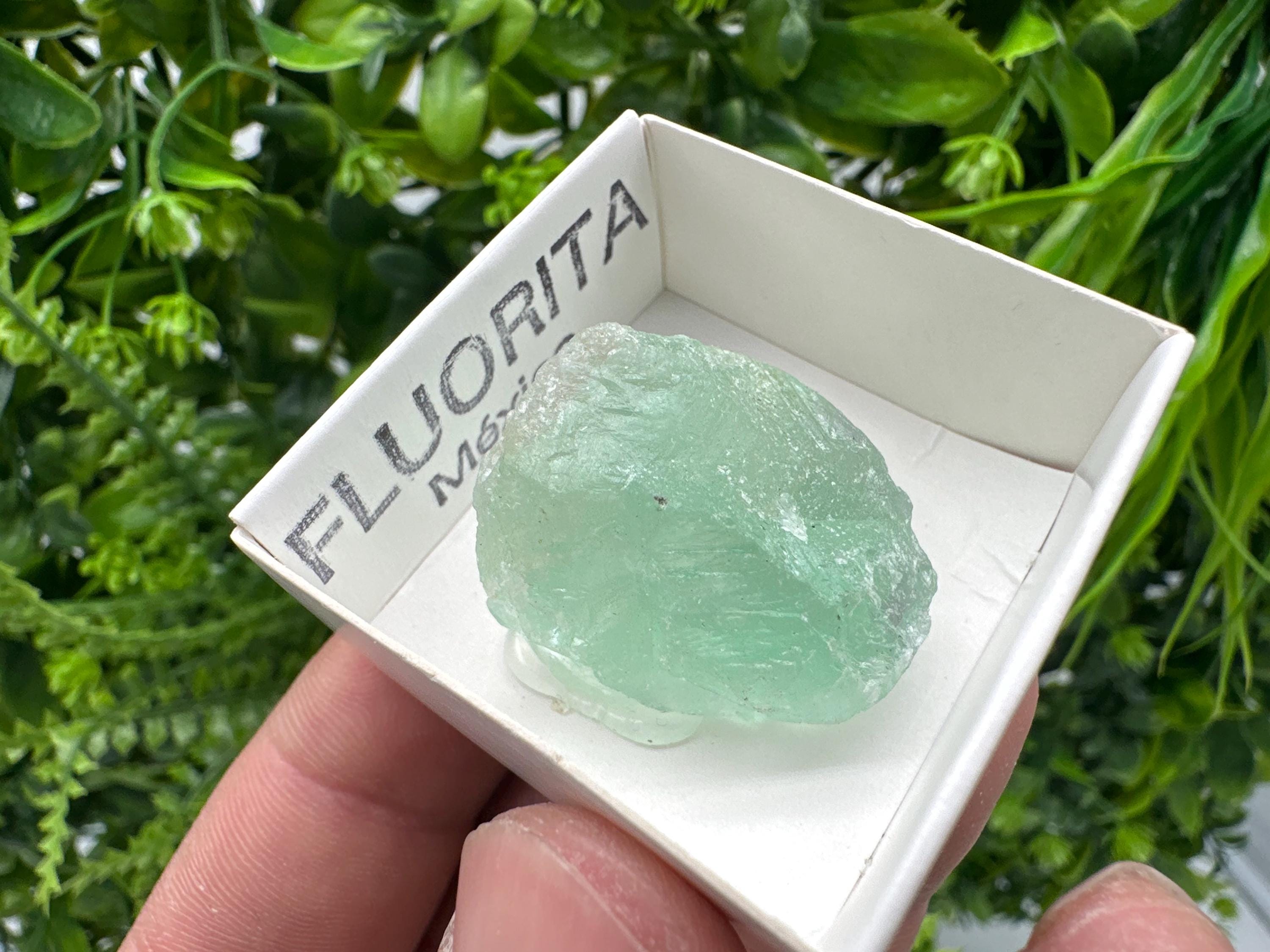 Rare Rainbow Fluorite from Mexico: Raw Meditation Stone