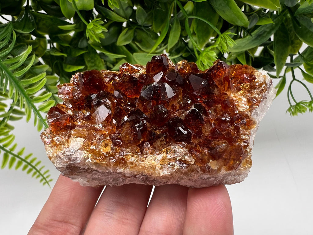 Citrine Crystal Cluster with Hematite Inclusions, Brazil