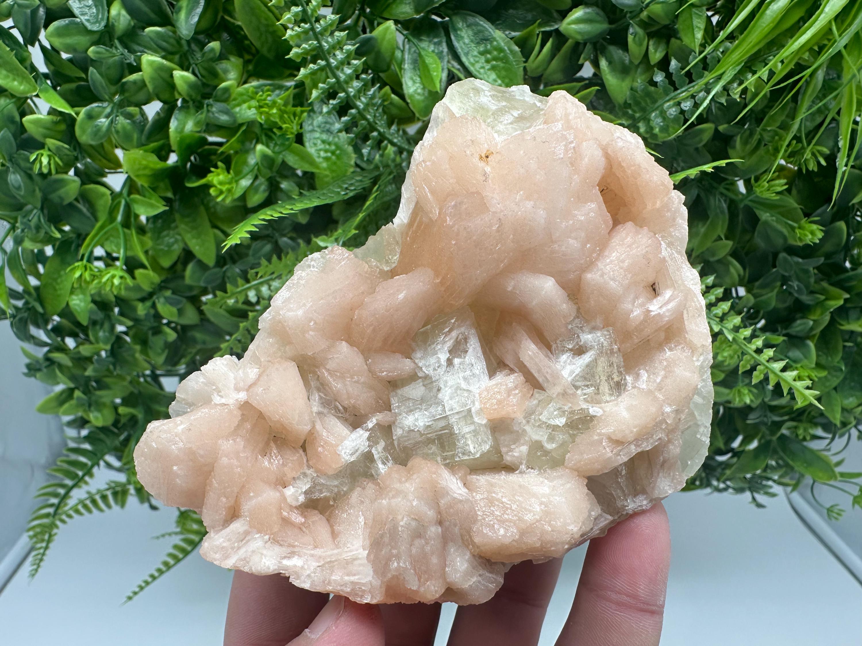 Apophyllite Stilbite on Chalcedony, India Crystal Specimen