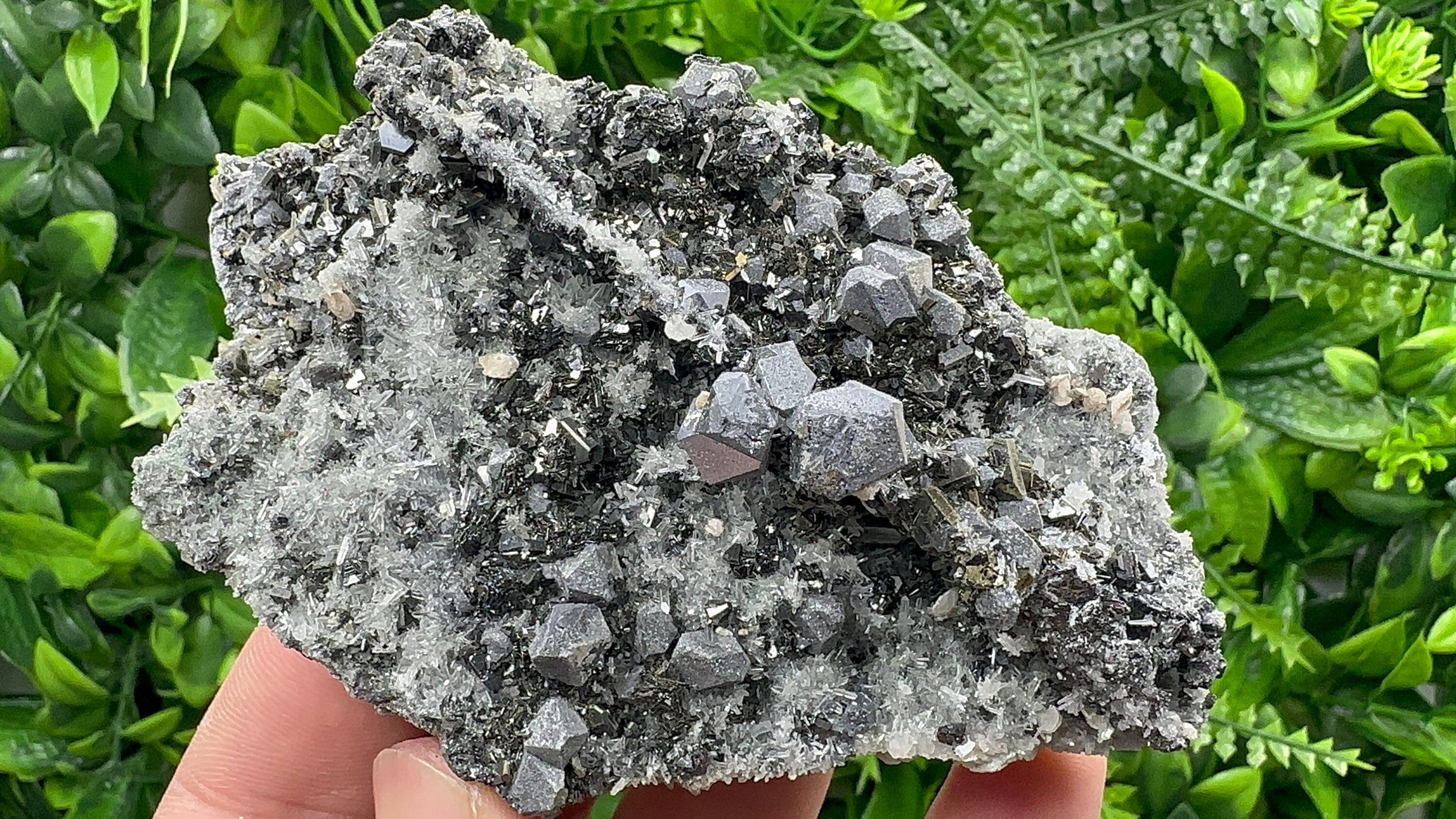 Galena with Sphalerite on Quartz, Borieva Mine, Bulgaria