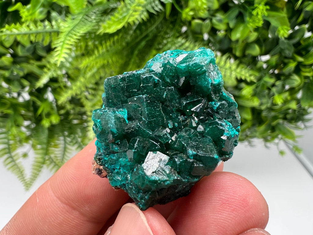 Stunning Green Dioptase from Sanda Hills,Mindouli,Pool Department,Mindouli District,Congo,green Dioptase,Dioptas Crystal,Dioptase collecting