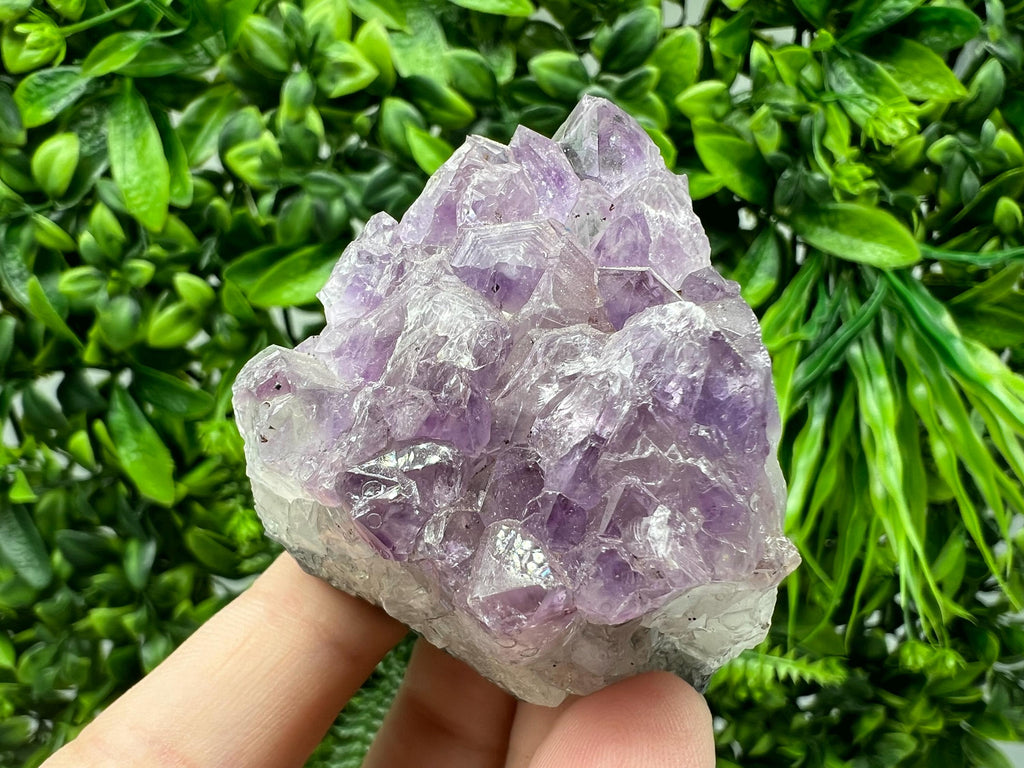 Amazing Amethyst form Brazil,Amethyst Crystal,Purple Quartz,Cluster,Specimen,Purple Crystals,Amethyst Cluster,Brazilian Amethyst,Amethyst sp