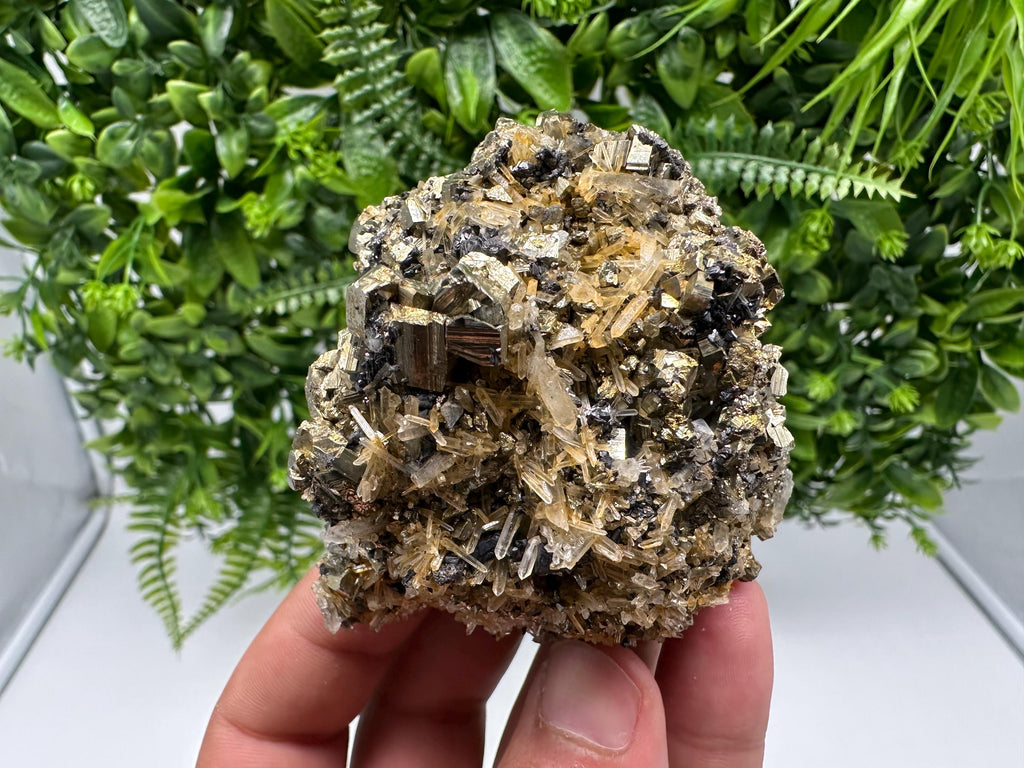 Rainbow Pyrite on Quartz with Oxide, Borieva Bulgaria