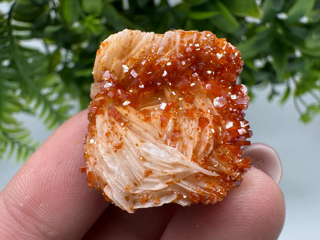 Red Vanadinite on Barite Cluster, Morocco Mineral Specimen