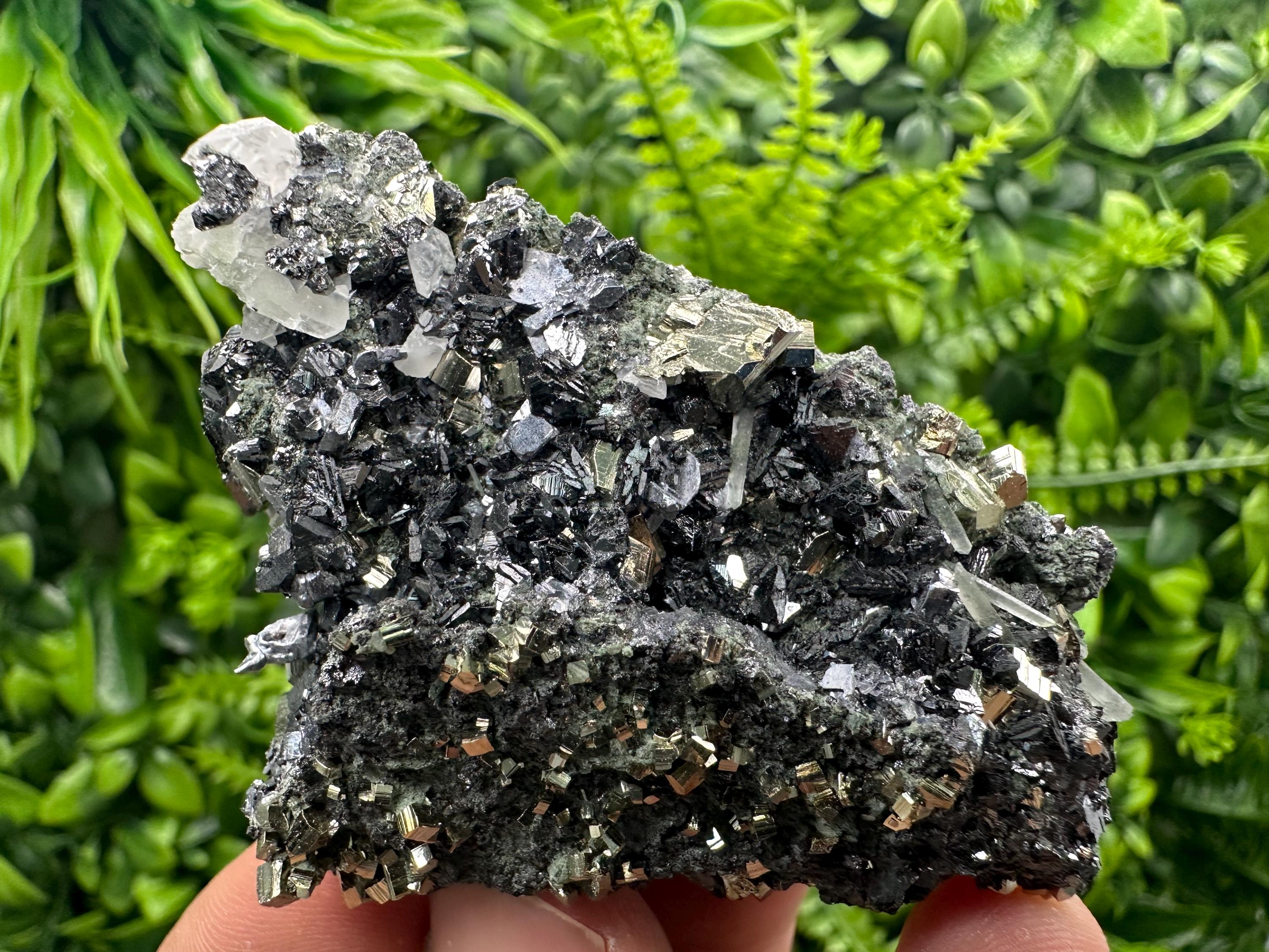 Sphalerite on Quartz with Pyrite, Borieva Mine Mineral Specimen