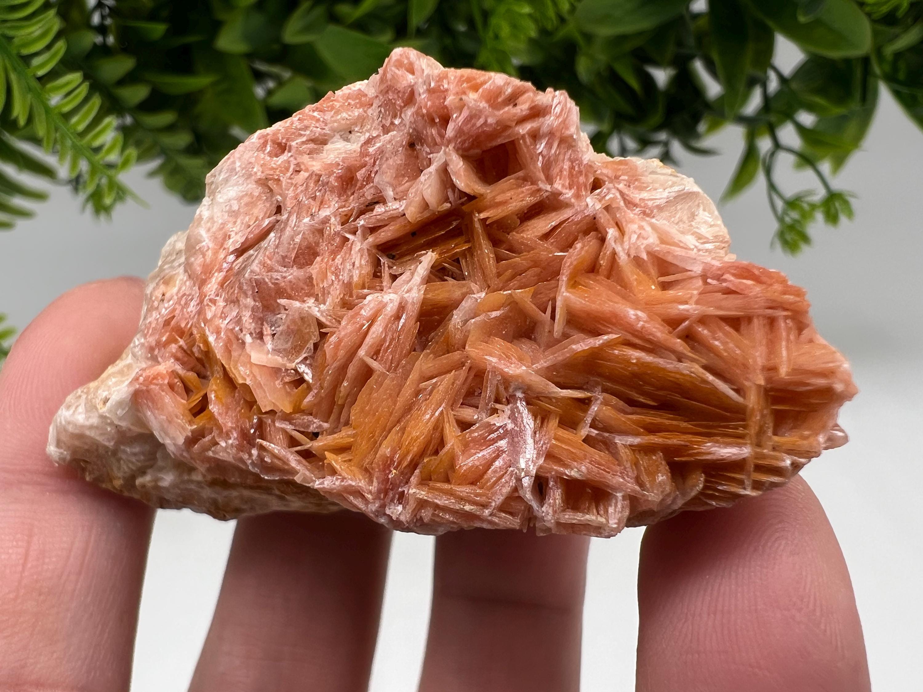 Wonderful Baryte with Cerussite on Galena from Morocco,Crystal, Mineral,Specimen,Cluster,Crystals,Barite Crystal,Cerussite Crystal,Specimen