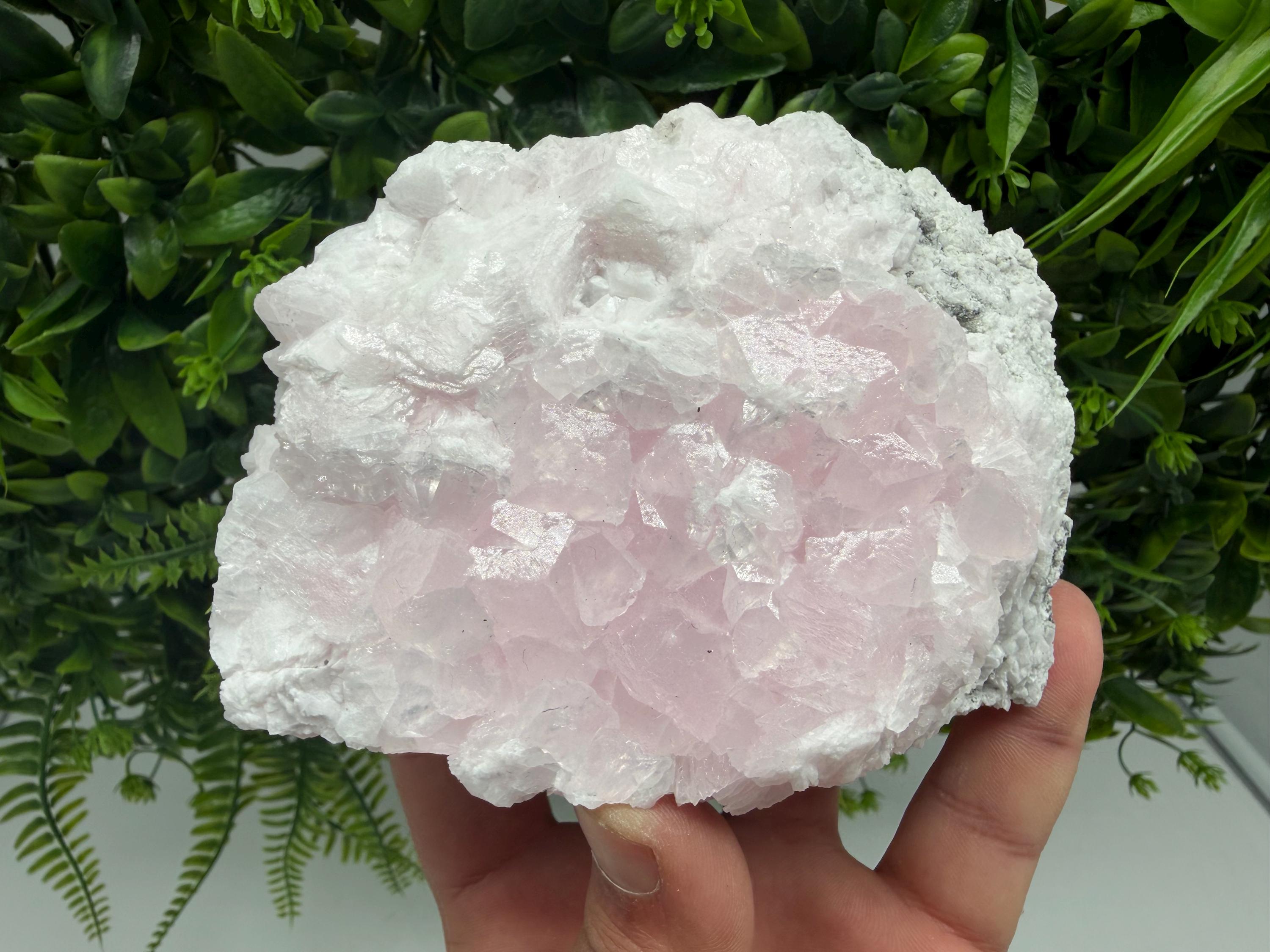 Mangano Calcite with Galena, Borieva Mine, Bulgaria