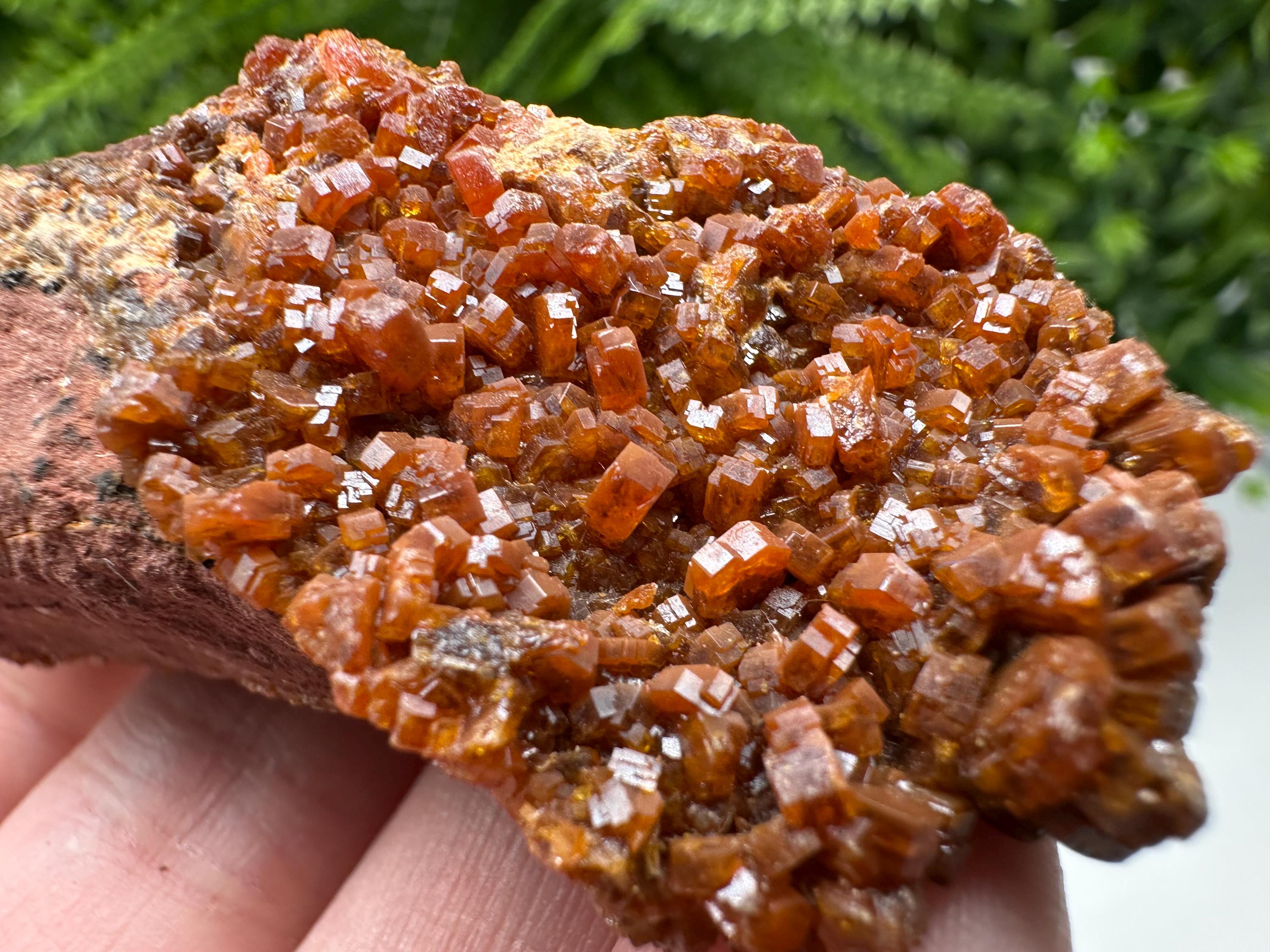 Red Vanadinite on Matrix from Marocco,crystal minerals Speciment cluster Vanadinite crystal Vanadinite Geology Vanadinite cluster minerals