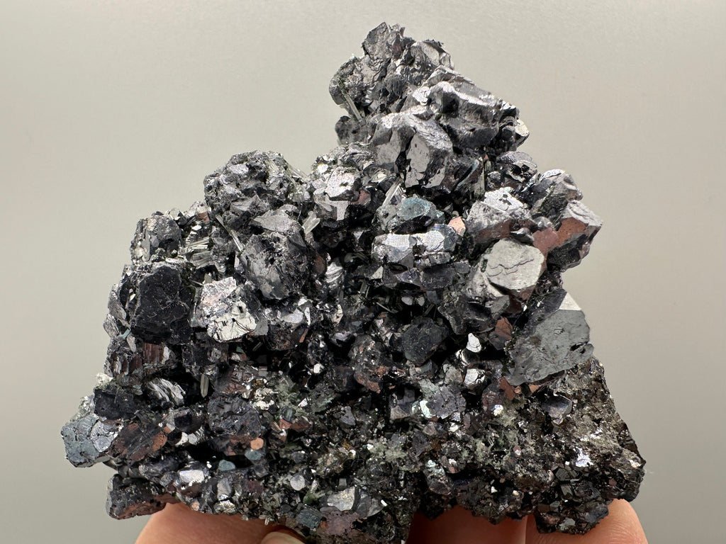 Shiny Galena on Sphalerite, Borieva Mine, Bulgaria