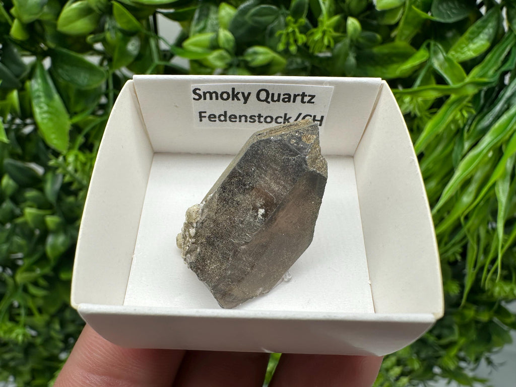 Rare Smoky Quartz Point from Fedenstock Switzerland (35mm)