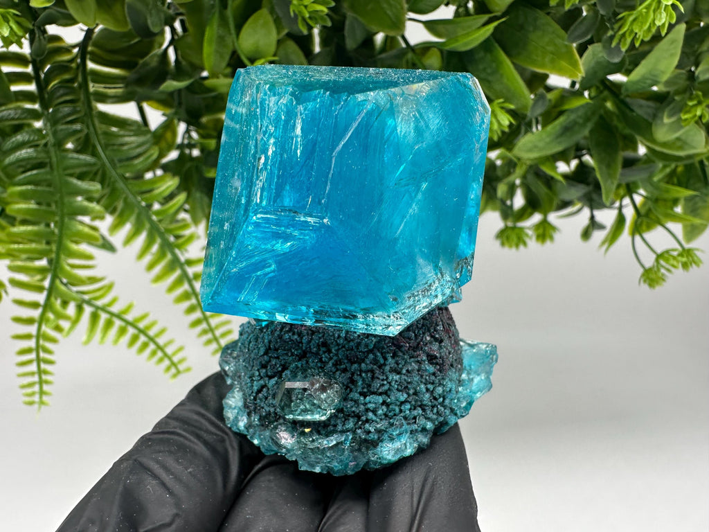 Exceptional Turquoise ALUNITE Aqua Crystal on Matrix UV Active, lab minerals