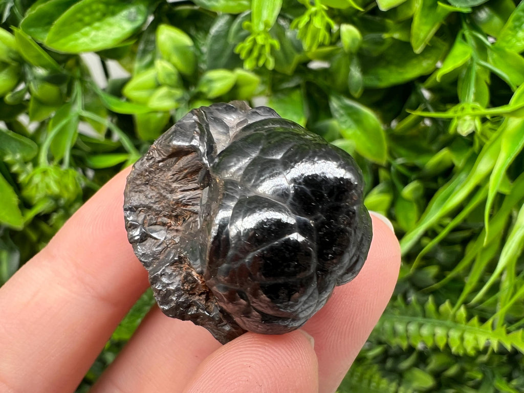 Botryoidal Black Hematite Specimen: Moroccan Crystal, Reiki Chakra