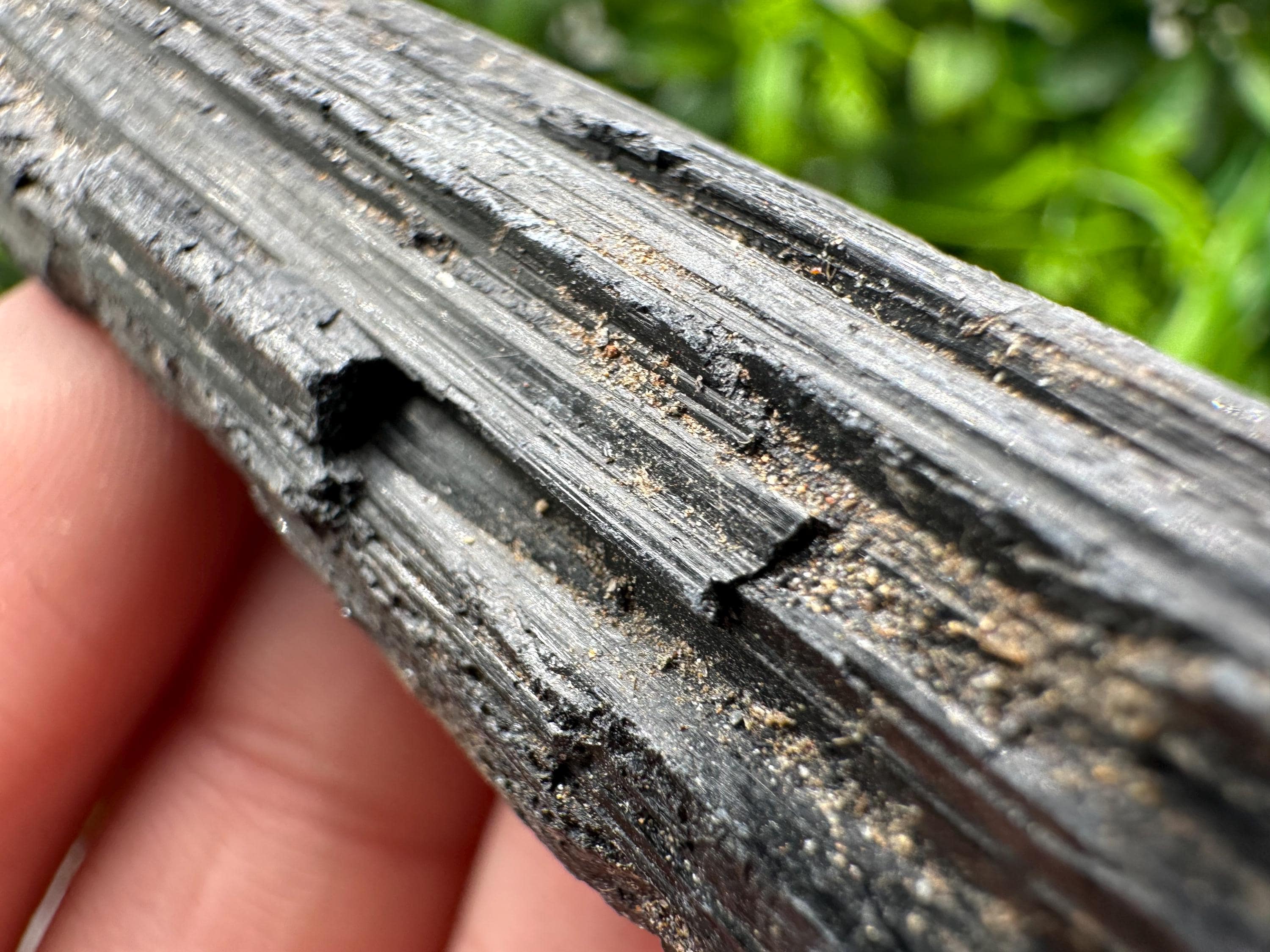 Natural Black Tourmaline Crystal – Raw Protective Stone, Healing Crystal, Grounding Mineral Gift