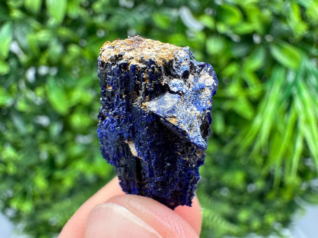 Crystallized Azurite-Kerrouchen,Morocco-Blue Azurite Specimen-High Quality Blue Azurite-Azurite Mineral Specimen, gemmy,lustrous of Azurite