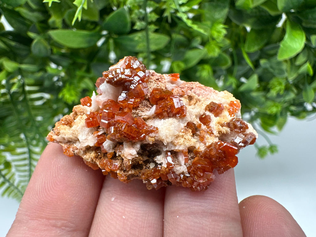 Red Vanadinite on Barite from Marocco,crystal minerals Speciment cluster Vanadinite crystal Vanadinite Geology Vanadinite cluster minerals