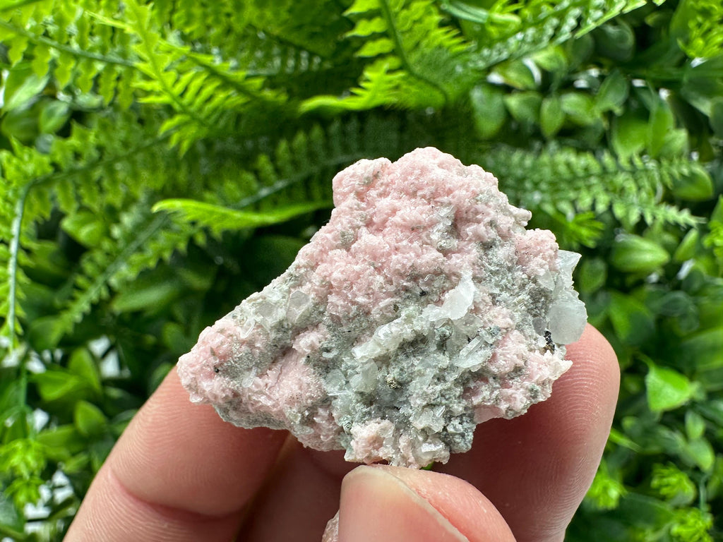 Pink Rhodochrosite Crystal: Starnica Mine, Bulgaria