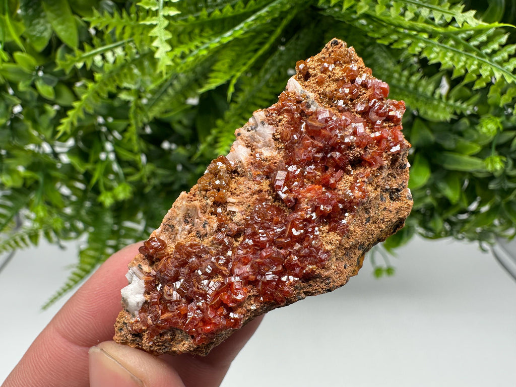 Red Vanadinite Crystal Cluster on Barite Matrix, Morocco Mineral Specimen