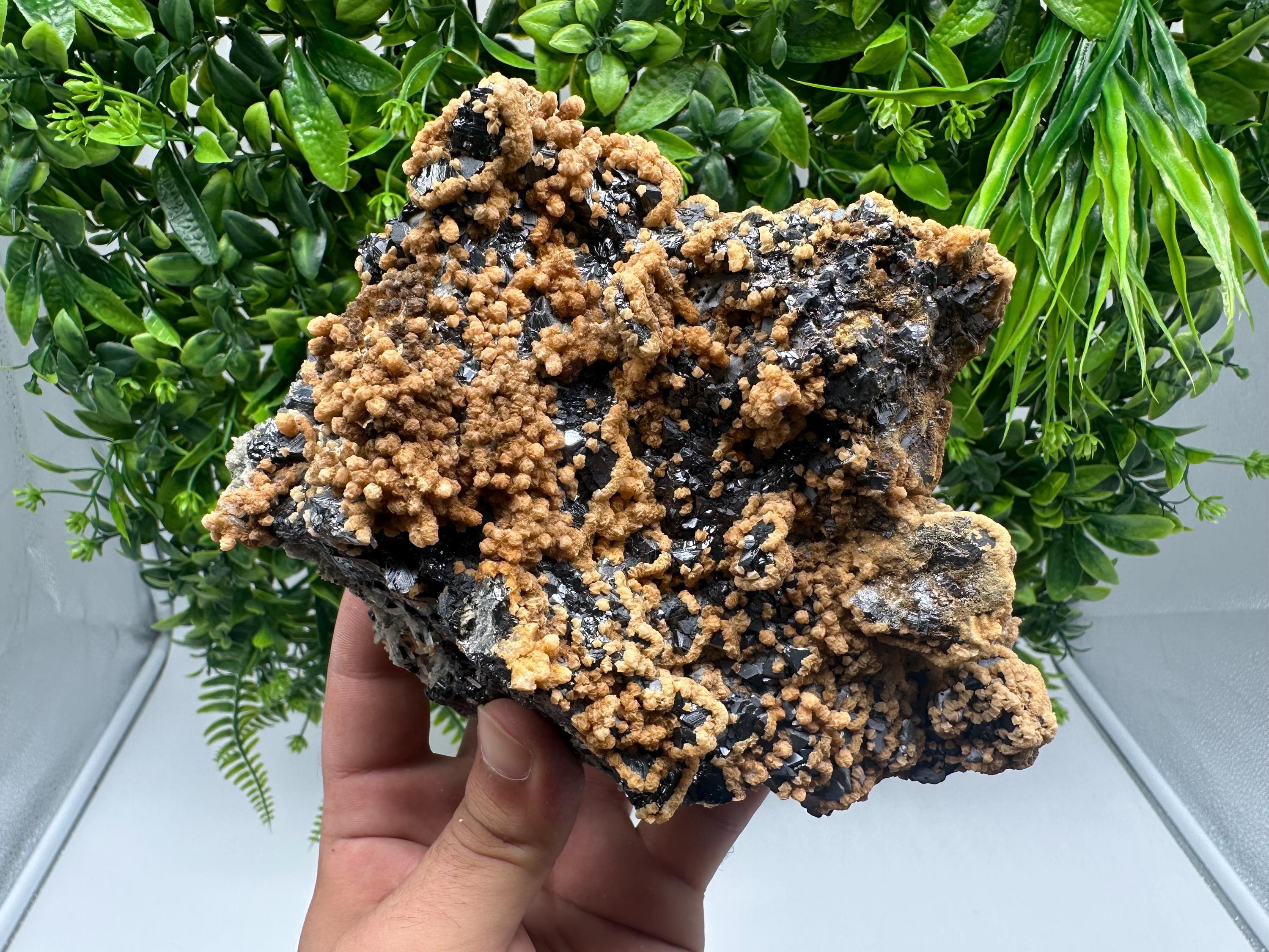 Skeletal Galena with Dolomite: Krushev Dol Mine, Bulgaria