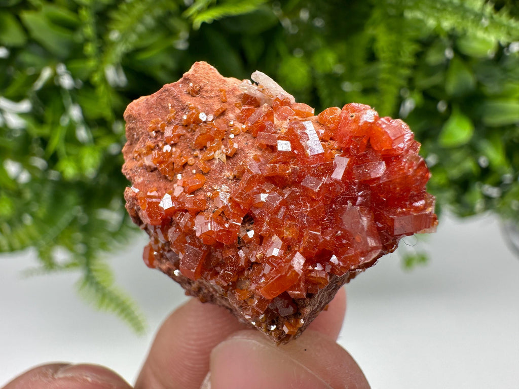 Red Vanadinite Crystal Cluster on Barite, Morocco Mineral Specimen