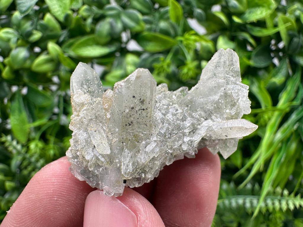 Quartz Rhodochrosite Cluster, Djurcovo Mine, Bulgaria, Mineral Specimen