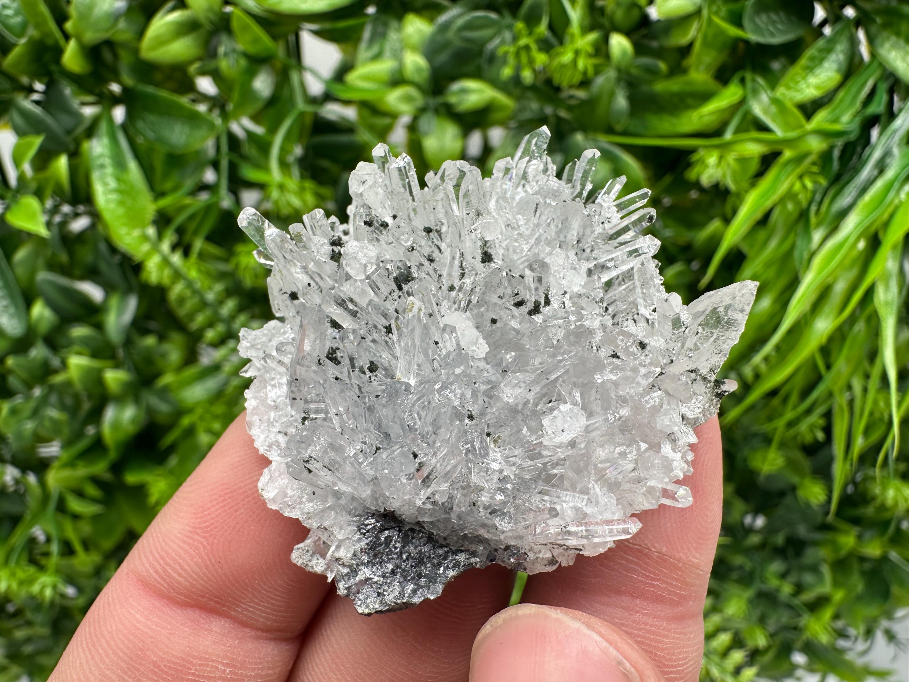 Chlorite Quartz Crystal Cluster - Borieva Mine, Bulgaria