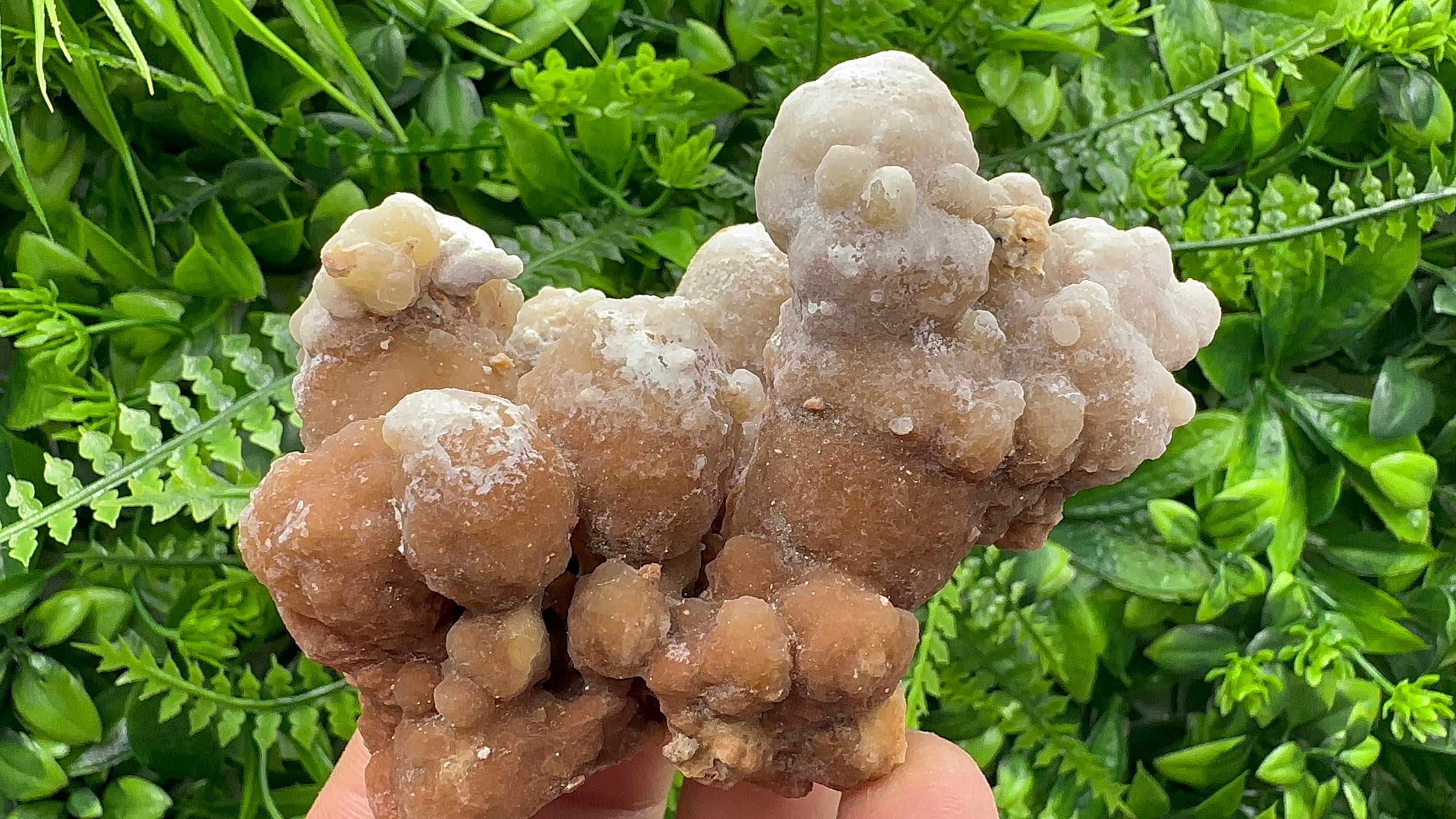 Dimitrovgrad Aragonite Cluster, Bulgaria, Natural Mineral Specimen
