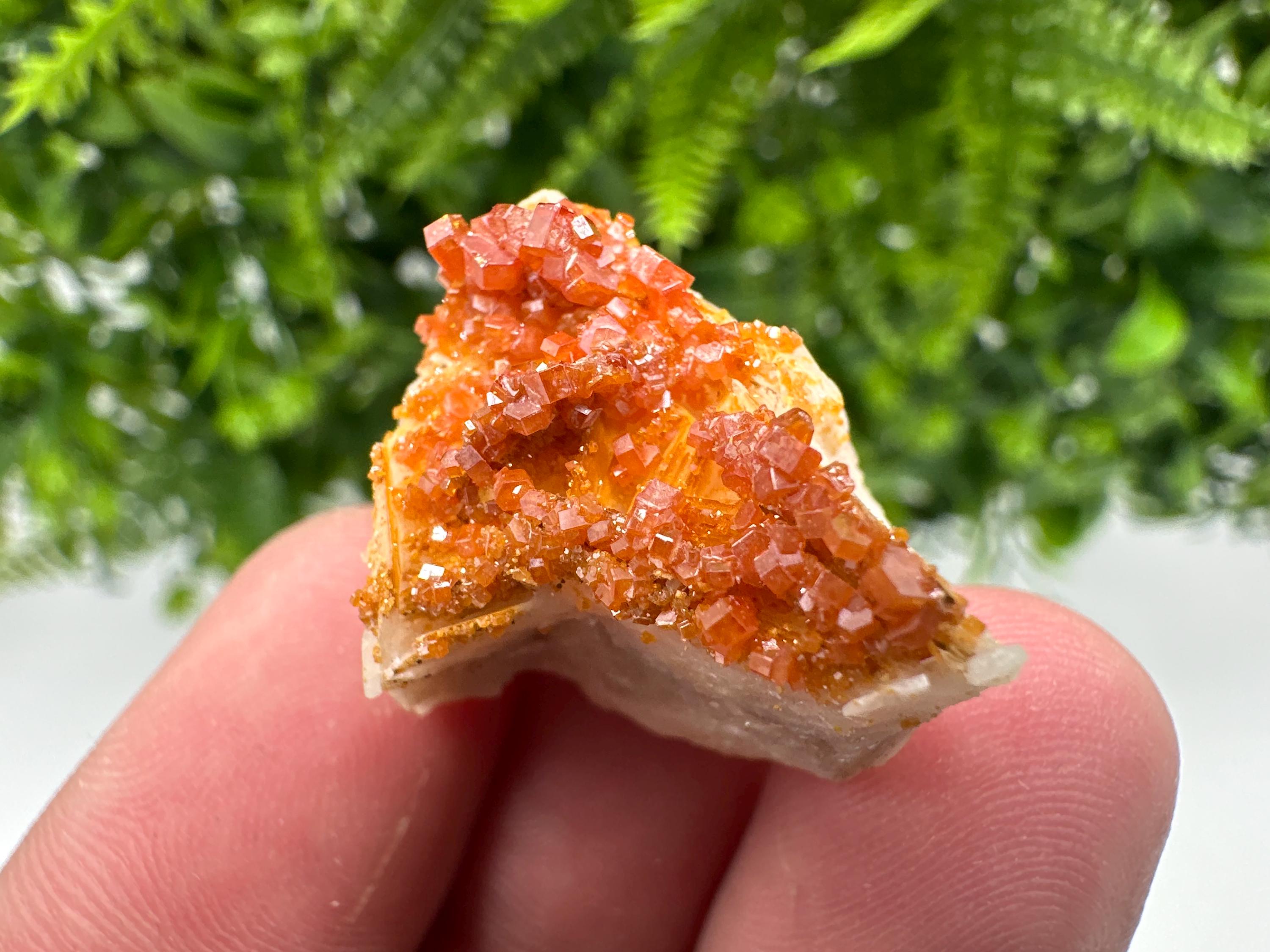 Red Vanadinite Crystal Cluster on Barite Matrix, Moroccan Mineral Specimen