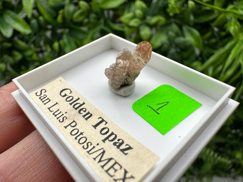 Golden Topaz Crystal, Mineral Specimen from Mexico