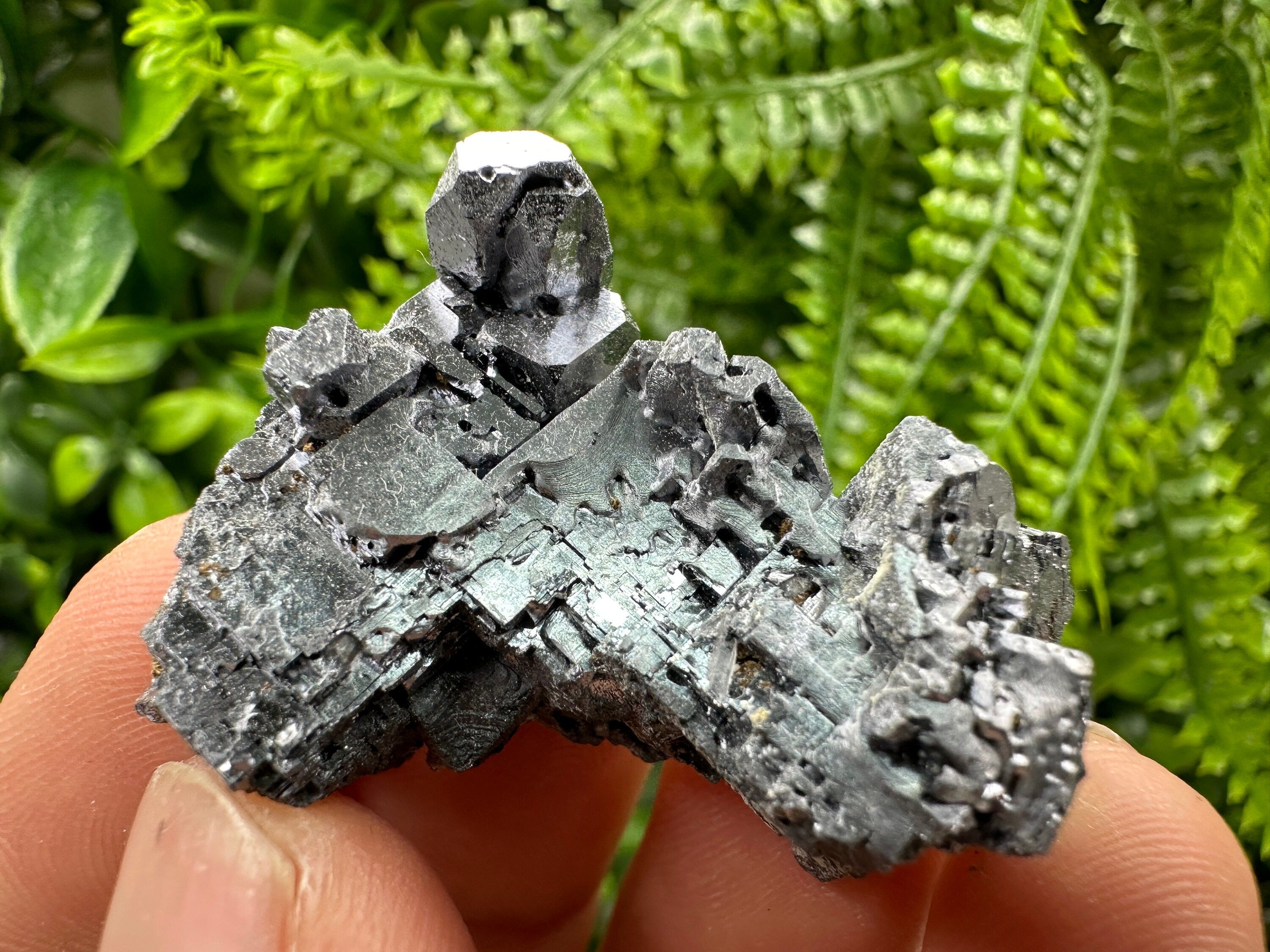 Skeleton Galena Cluster, Rare Morphology Crystal, 9th September Mine Bulgaria
