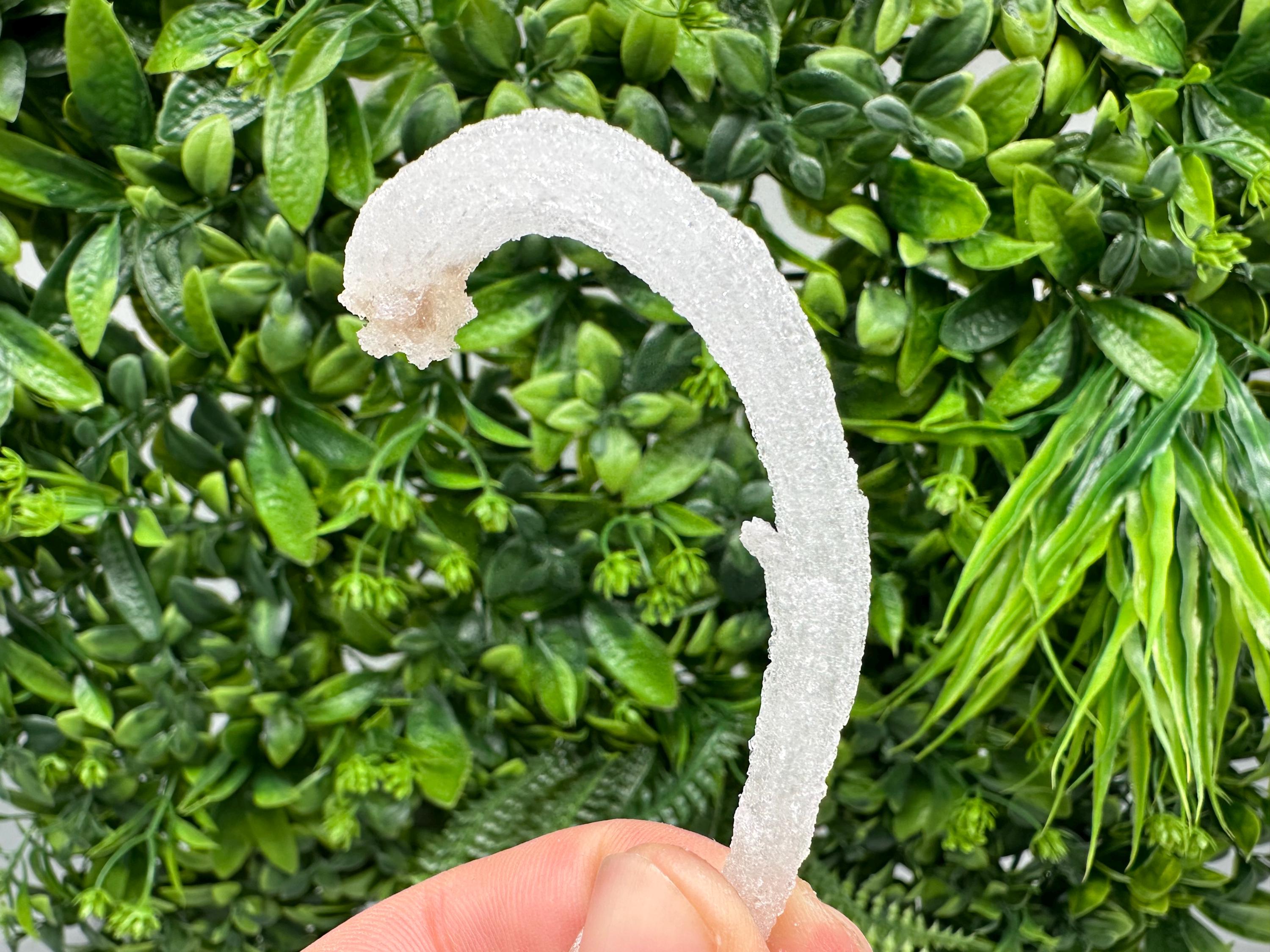 White Selenite Gypsum "Ram's Horn'' Selenite,from Guizhou,China,perfect Shape and Luster,Fluorescent Selenite Gypsum,minerals specimen,colle