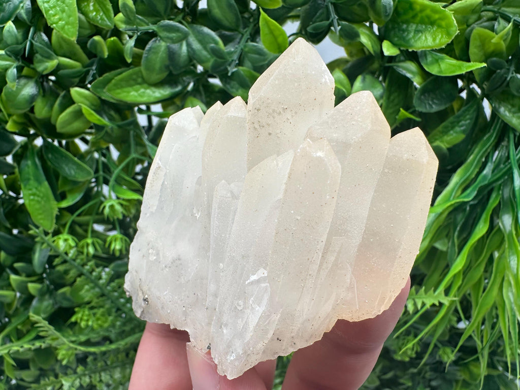 Quartz Rhodochrosite Cluster, Djurcovo Mine Mineral Specimen
