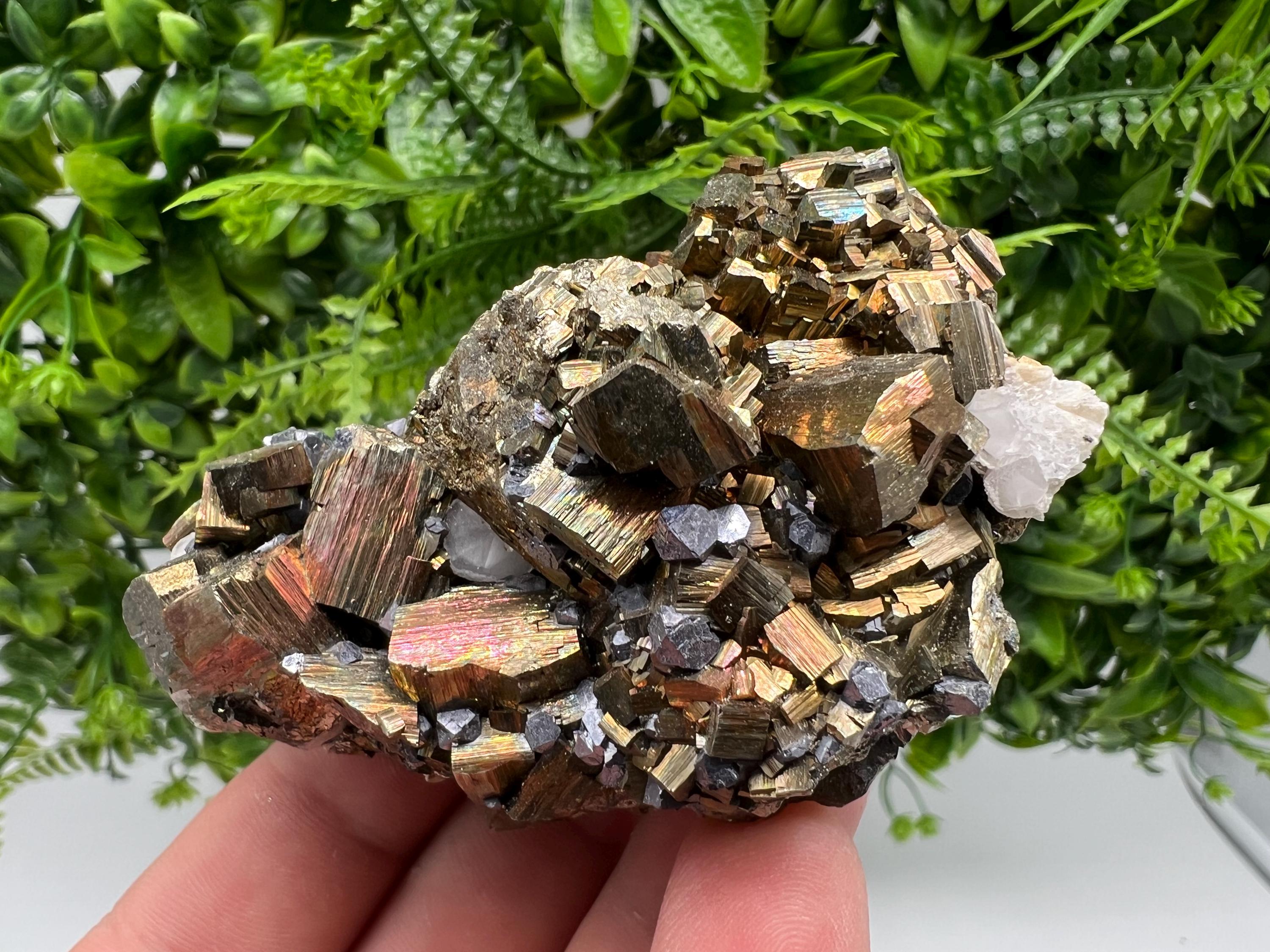 Galena on Pyrite Specimen: Borieva Mine, Bulgaria