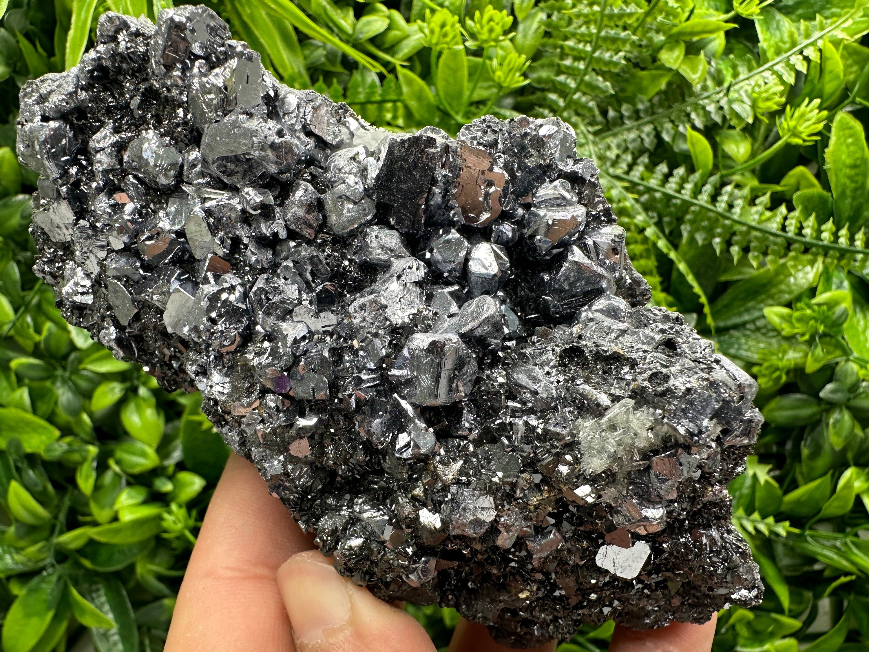 Mirror Galena on Sphalerite, Borieva Mine Mineral Specimen
