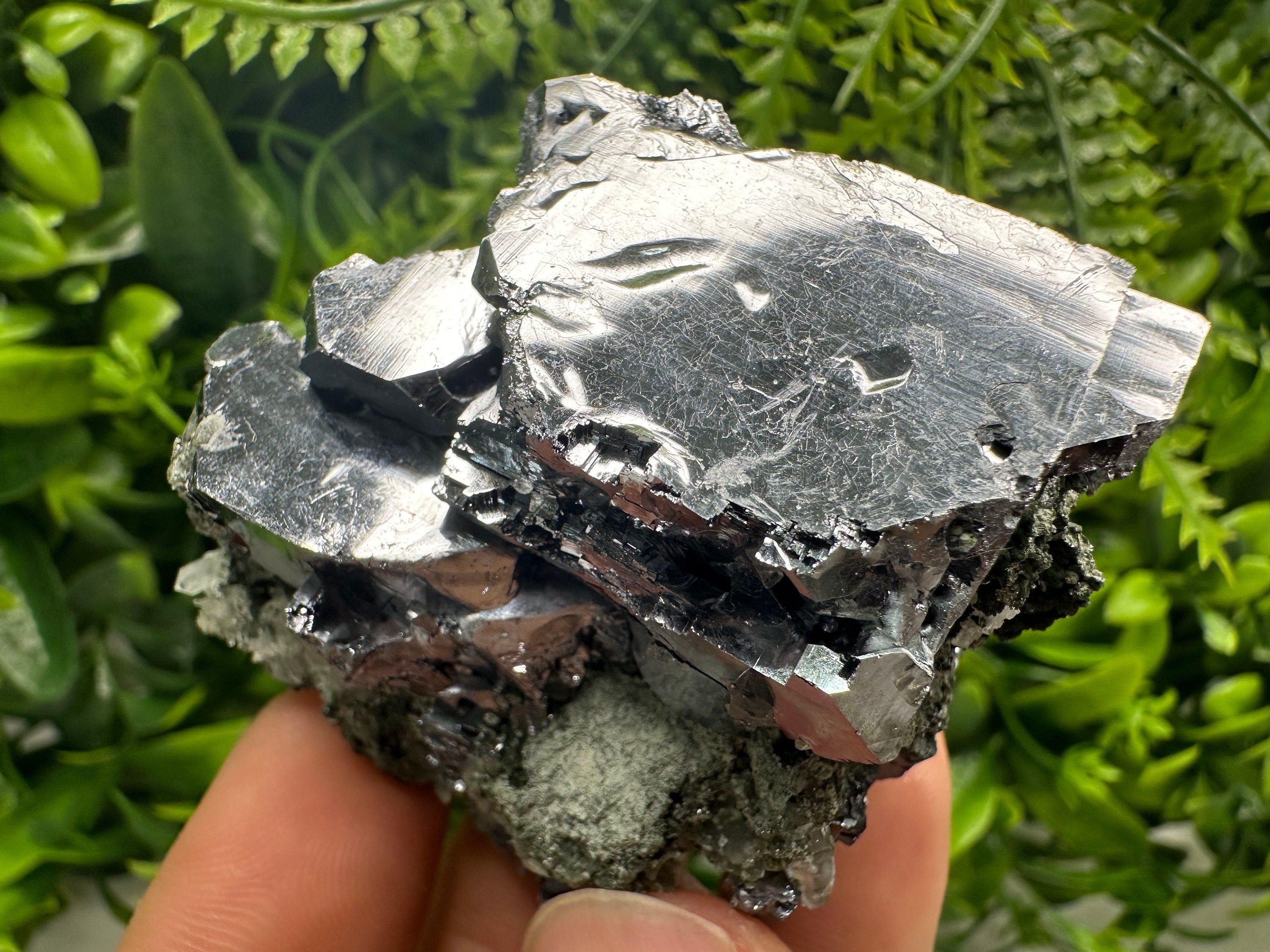 Mirror Galena on Quartz with Chlorite, Borieva Mine, Bulgaria