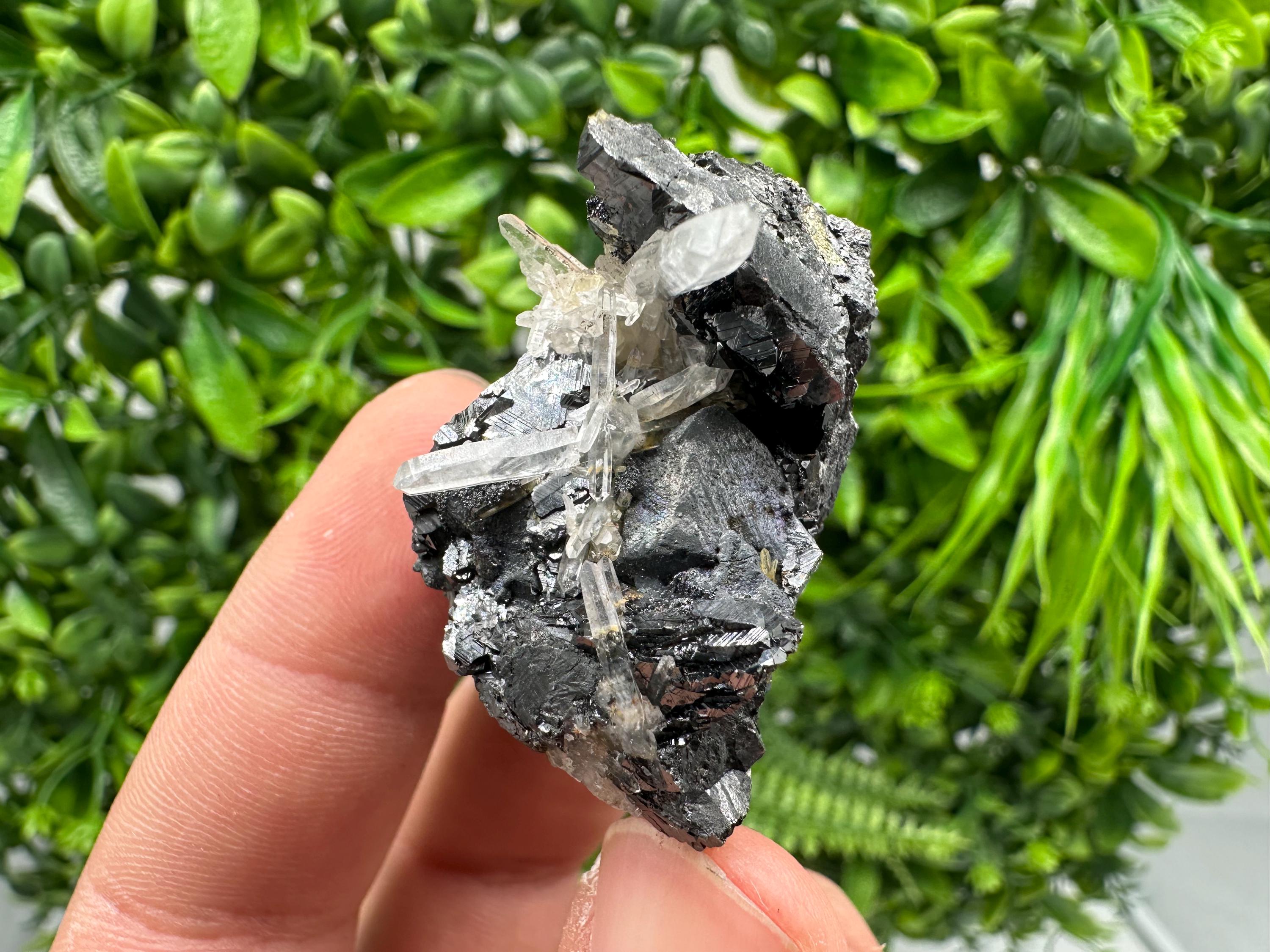 Wonderful Sphalerite Chalcopyrite on  Quartz whit Hematite feom 9 th September mine,Bulgaria,natural,collection mineral specimen,gift