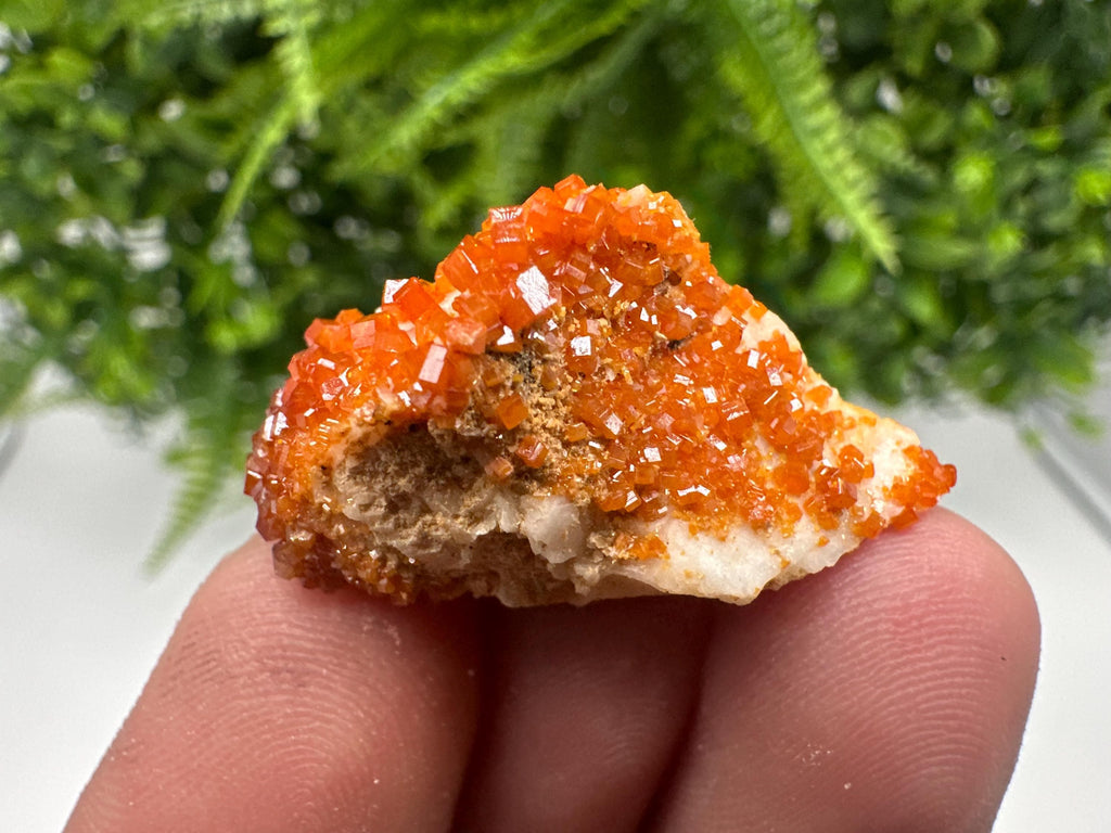 Red Vanadinite on Barite from Marocco,crystal minerals Speciment cluster Vanadinite crystal Vanadinite Geology Vanadinite cluster minerals