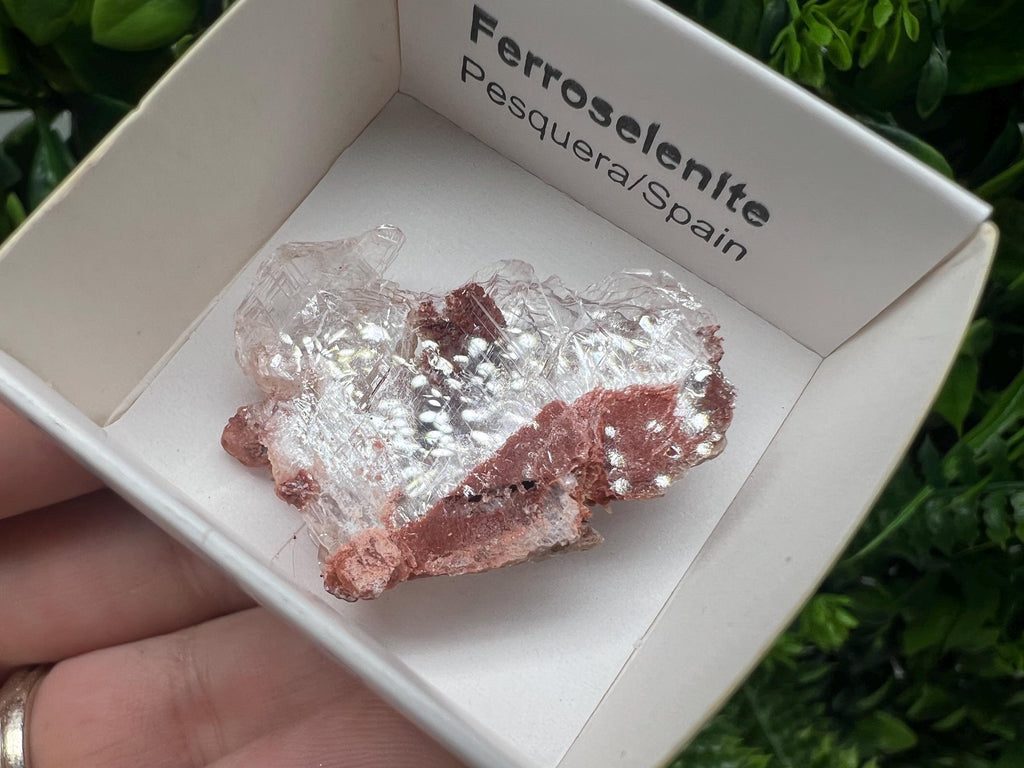 Rare Ferroselenite Specimen: La Pesquera, Spain Mineral Crystal (3.3/3 cm)