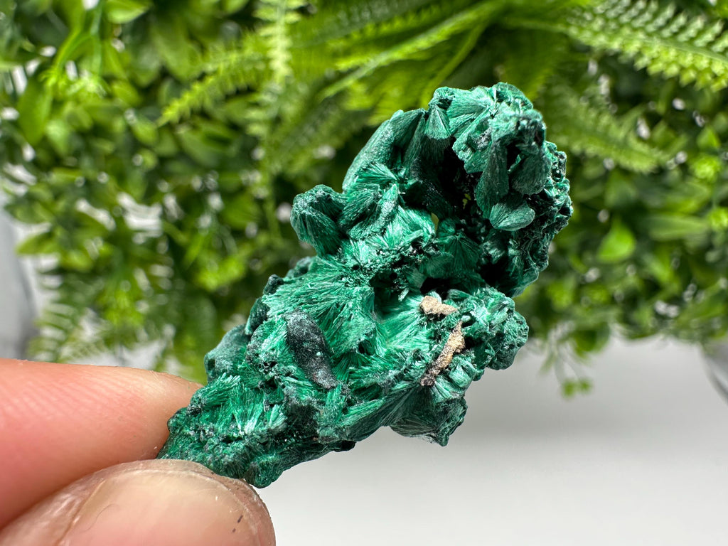 Malachite Crystal from Congo,Minerals,Crystals from Congo,Green Malachite, Malachite,Natural Malachite,Malachite Stone,Chakra, Specimens