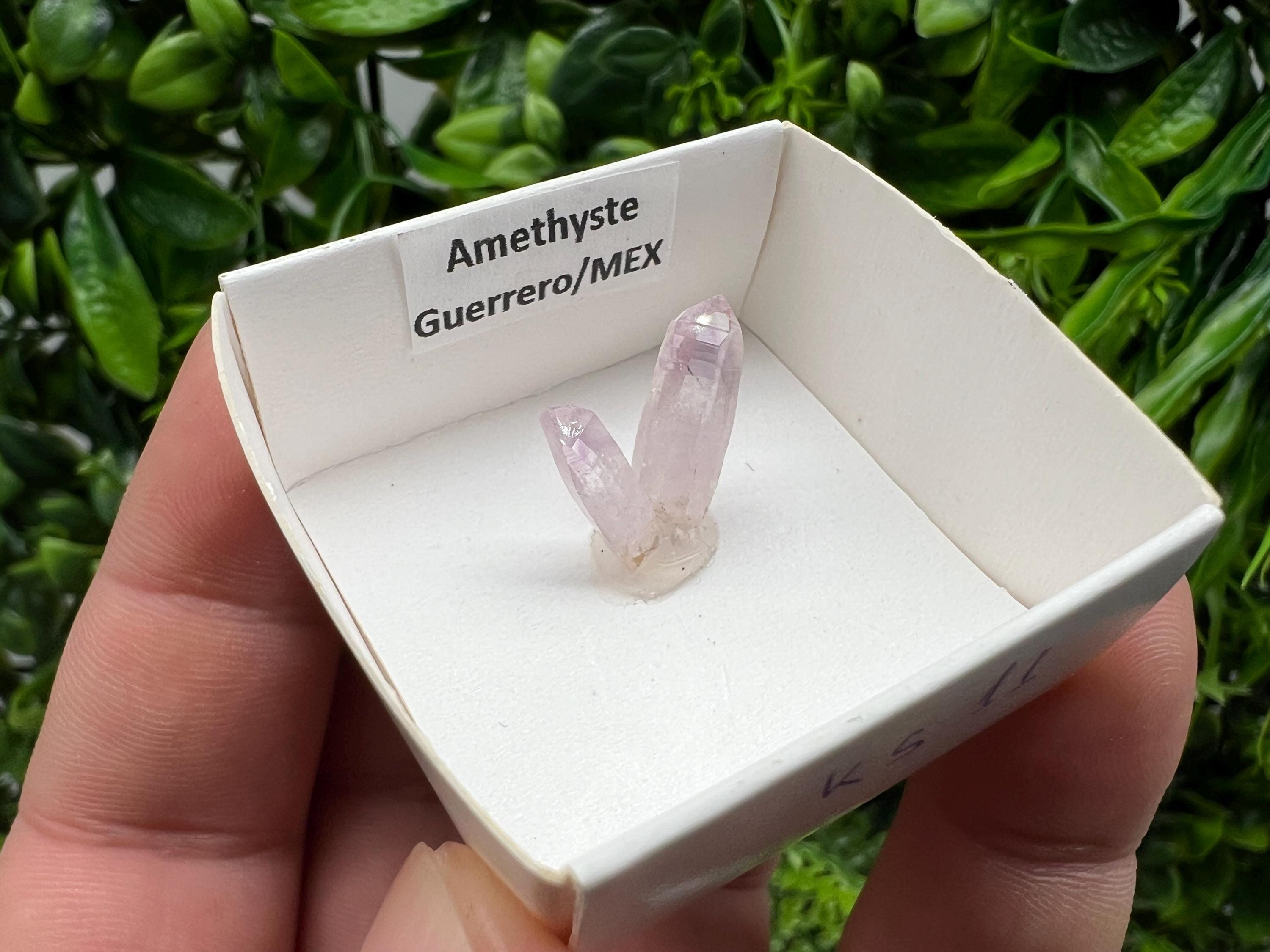 Mexican Amethyst Specimen: Crystal Collector Mineral (20mm)