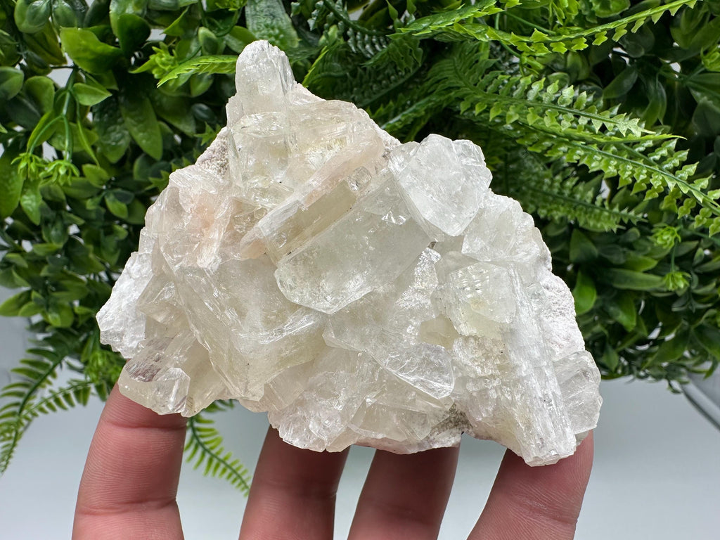 Apophyllite Stilbite Cluster on Chalcedony, India Crystal Mineral Specimen