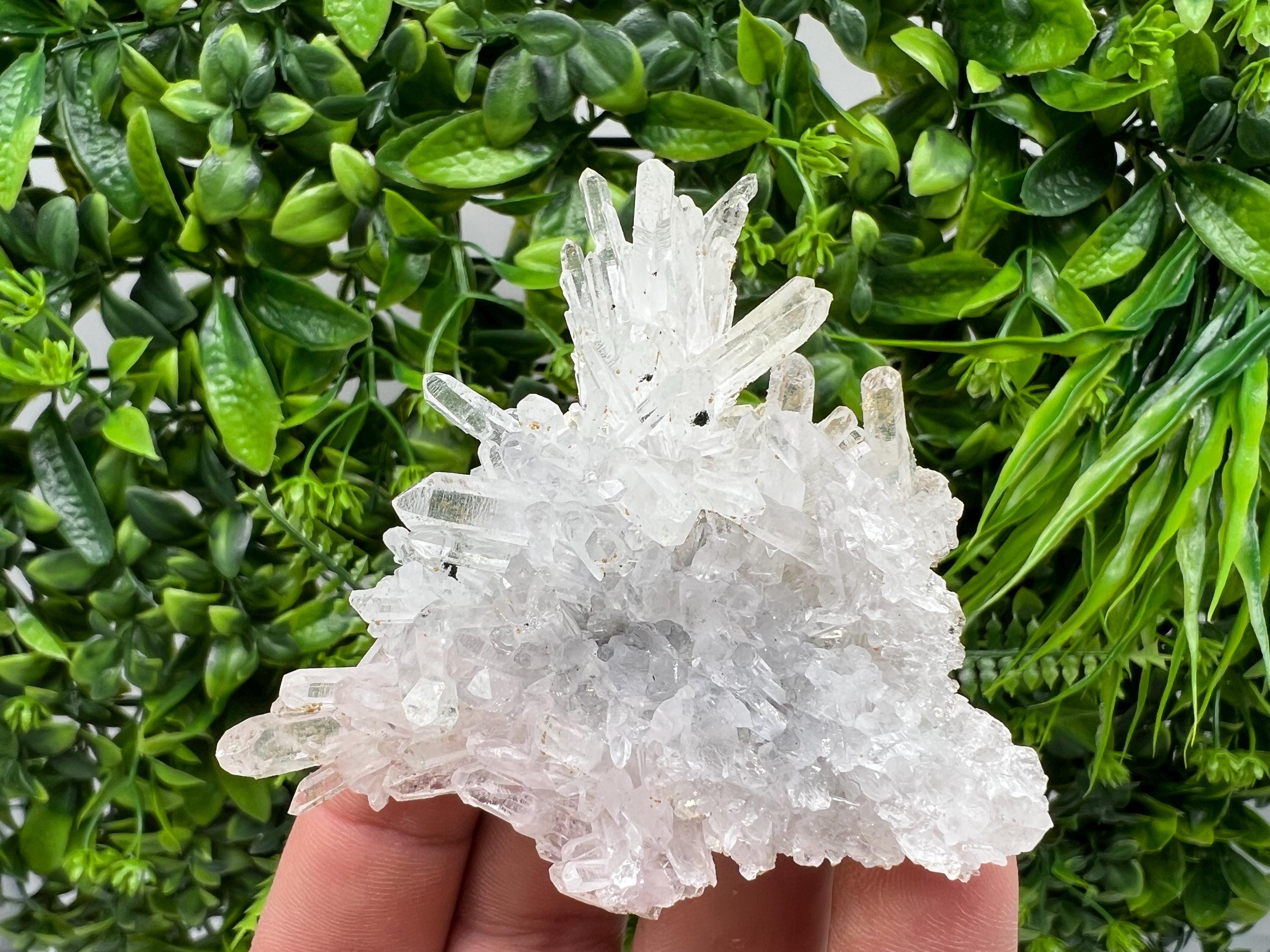 Transparent Quartz on Chlorite Matrix, Bulgaria Mineral Specimen