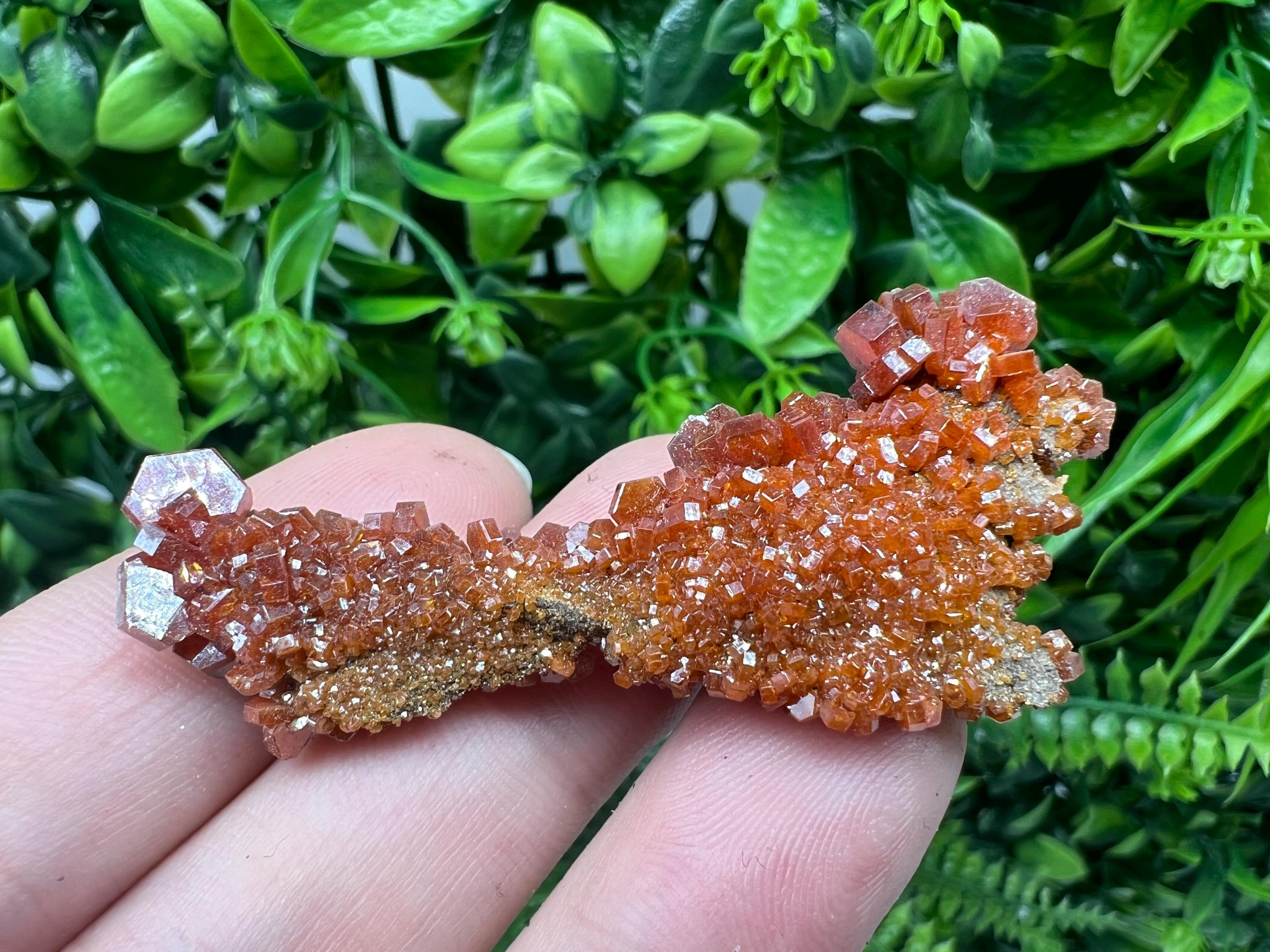 Red Vanadinite on Barite from Marocco,crystal minerals Speciment cluster Vanadinite crystal Vanadinite Geology Vanadinite cluster minerals