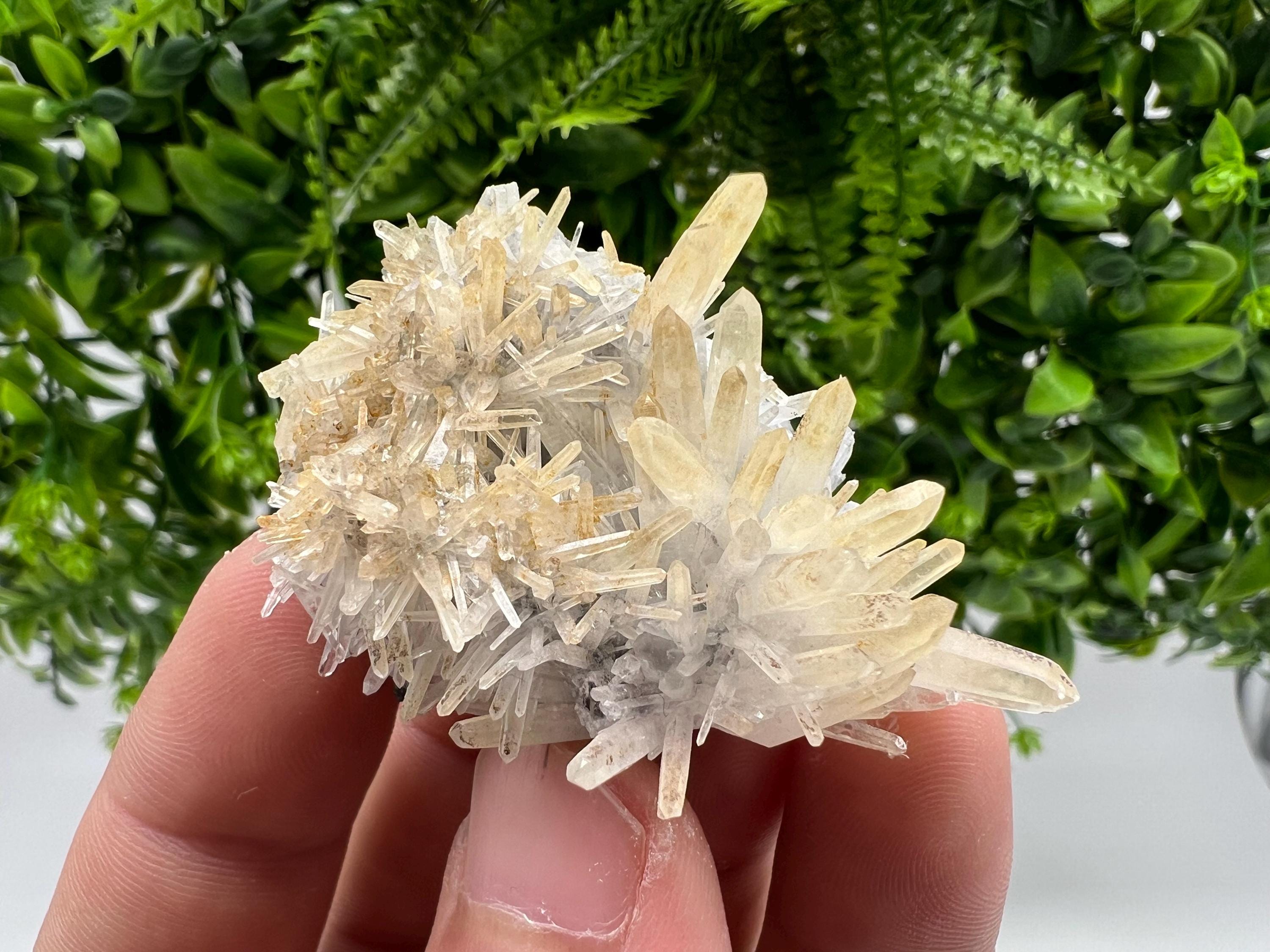 Stunning Quartz from 9 th September mine,Bulgaria,Quartz iron oxide limonite quartz,yellow Quartz,natural collection mineral specimen,home