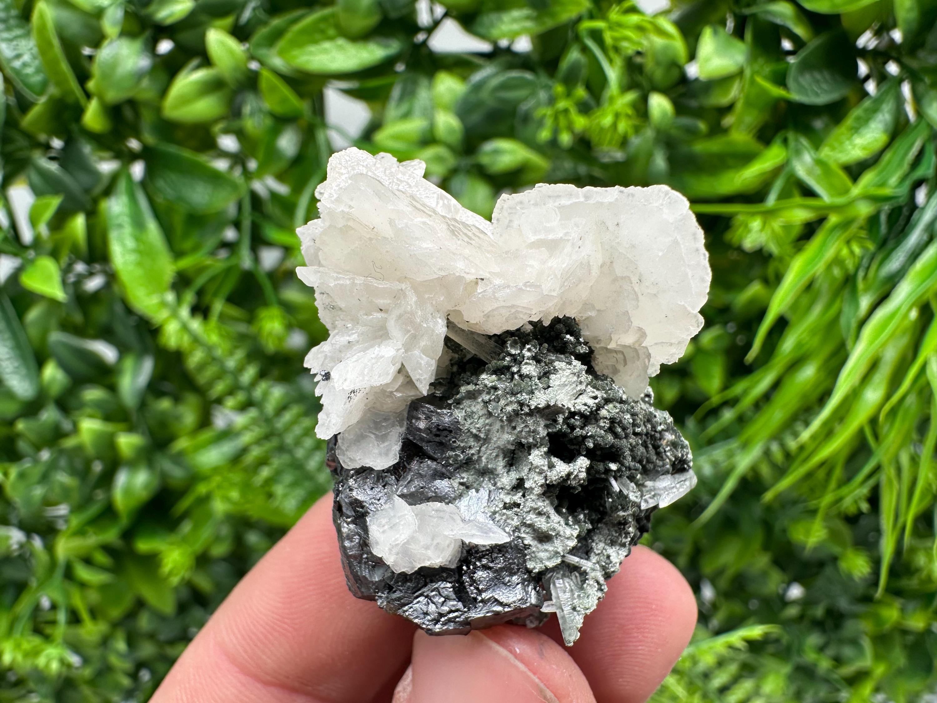 Mirror Galena, Calcite, Sphalerite on Quartz with Chlorite: Collection Mineral