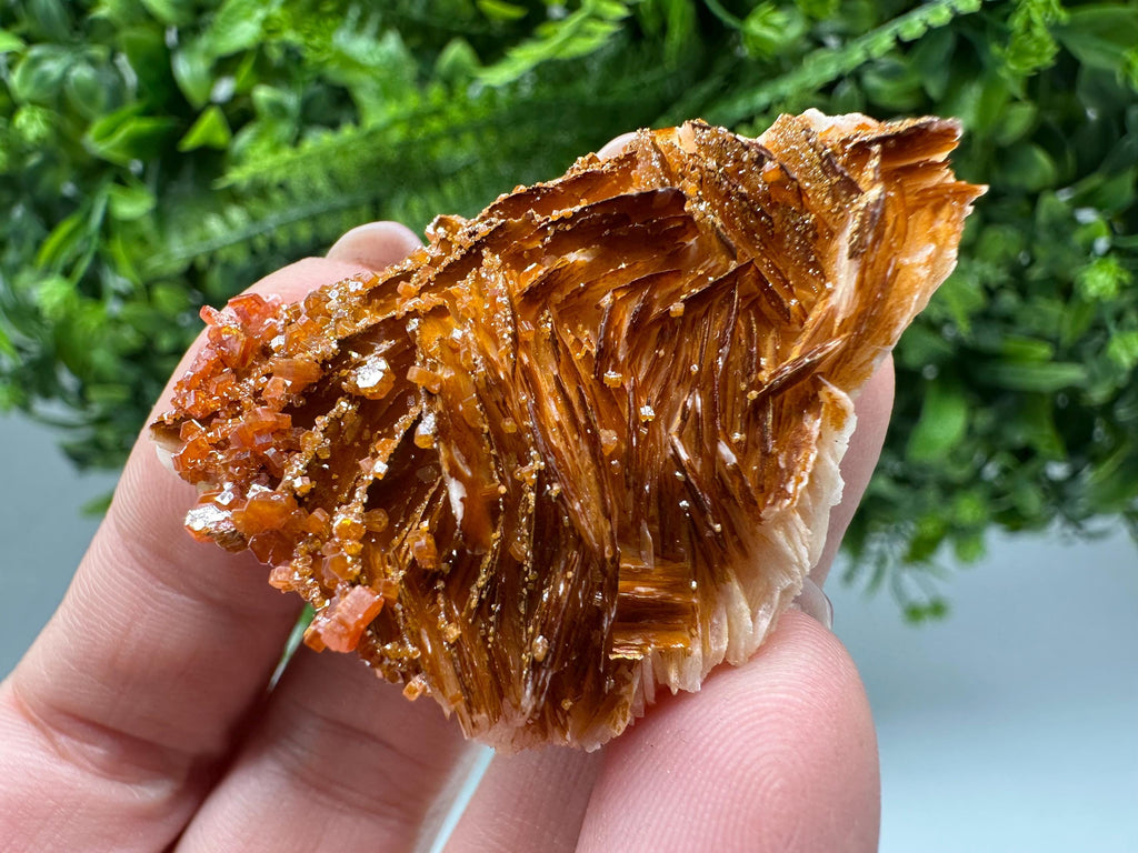 Red Vanadinite on Barite Cluster, Moroccan Crystal Mineral Specimen
