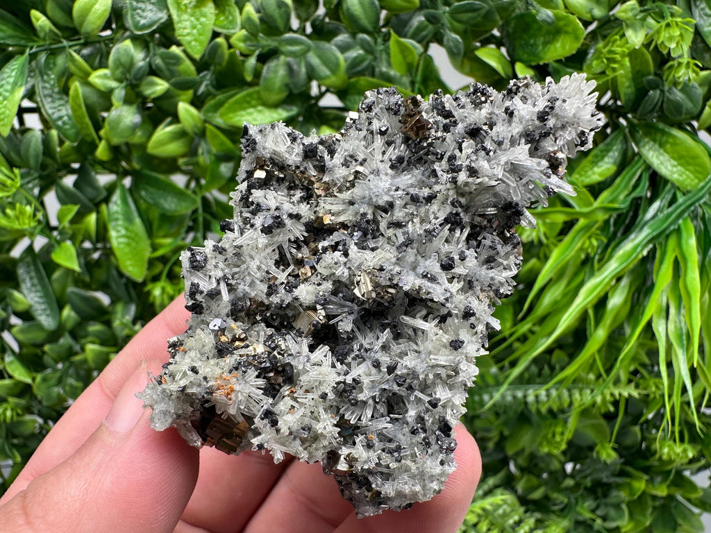 Pyrite on Needle Quartz, Madan Bulgaria, Mineral Specimen