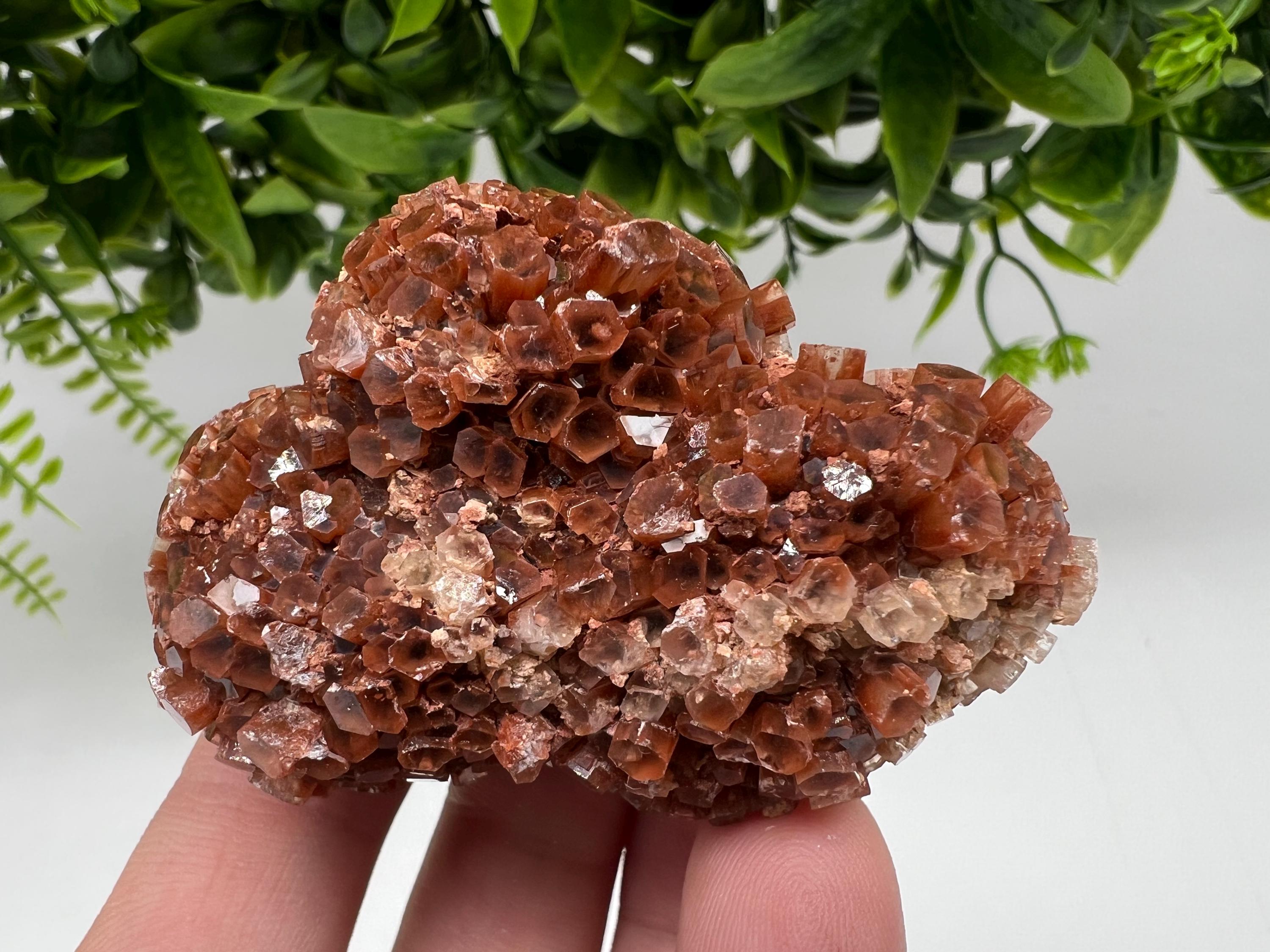 Large Aragonite Sputnik Cluster: Raw Moroccan Crystal Stone
