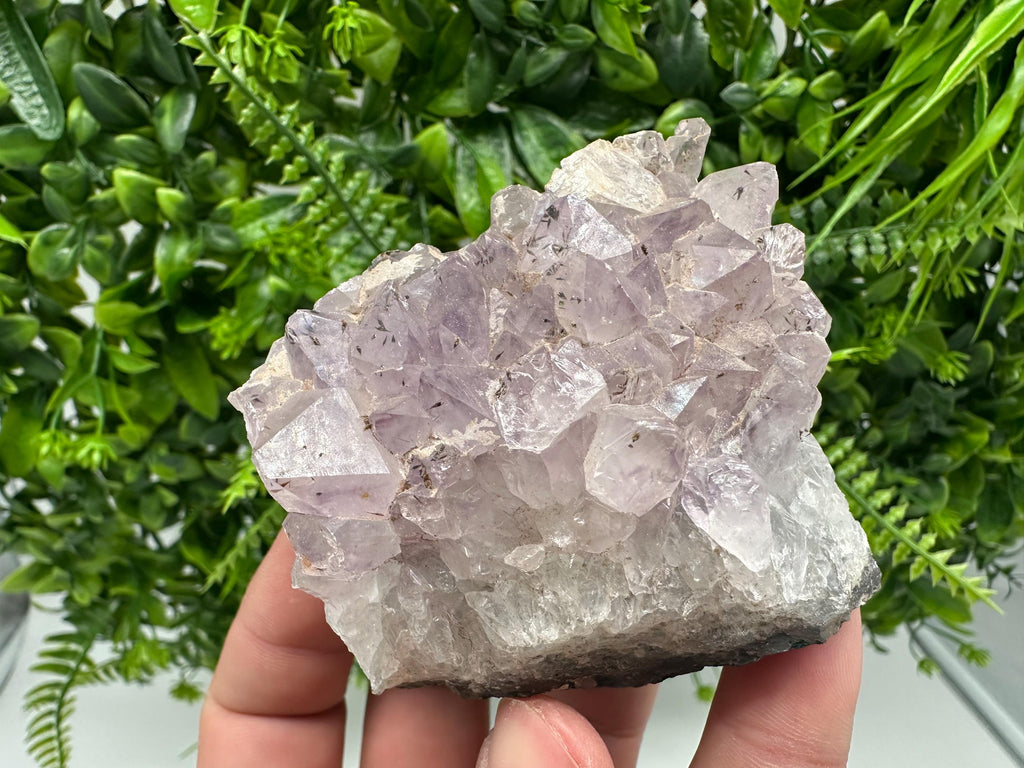 Brazilian Amethyst Crystal Cluster Specimen, Purple Quartz