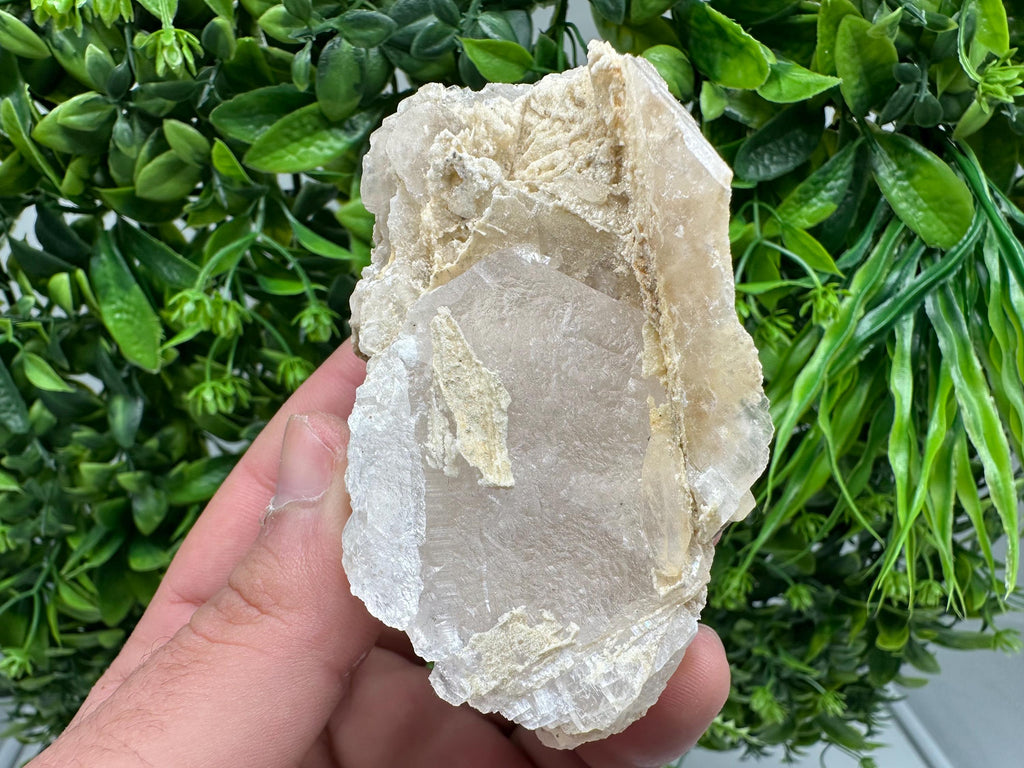 UV Reactive Mangano Calcite, Borieva Mine Bulgaria, Mineral Specimen